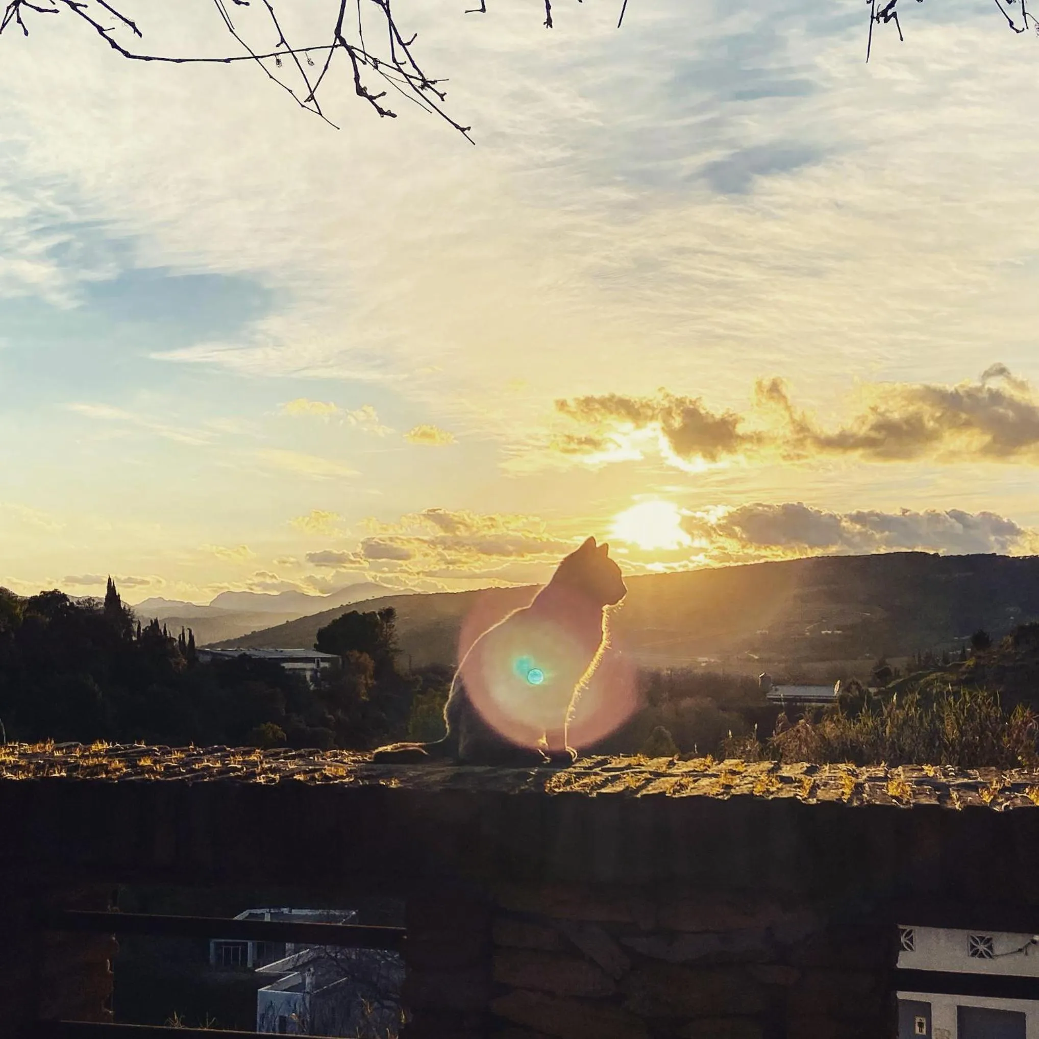 Natural landscape in Villa Ignacia B&B - Naturaleza entre Ronda & Setenil