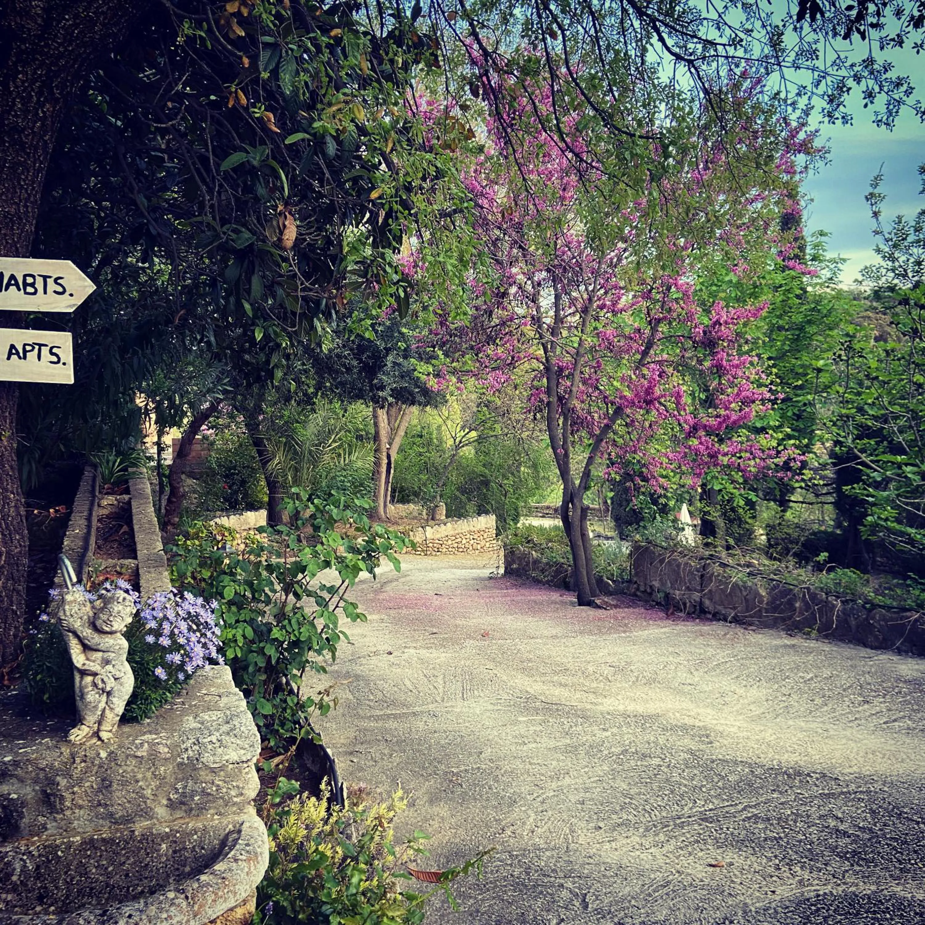Natural landscape in Villa Ignacia B&B - Naturaleza entre Ronda & Setenil