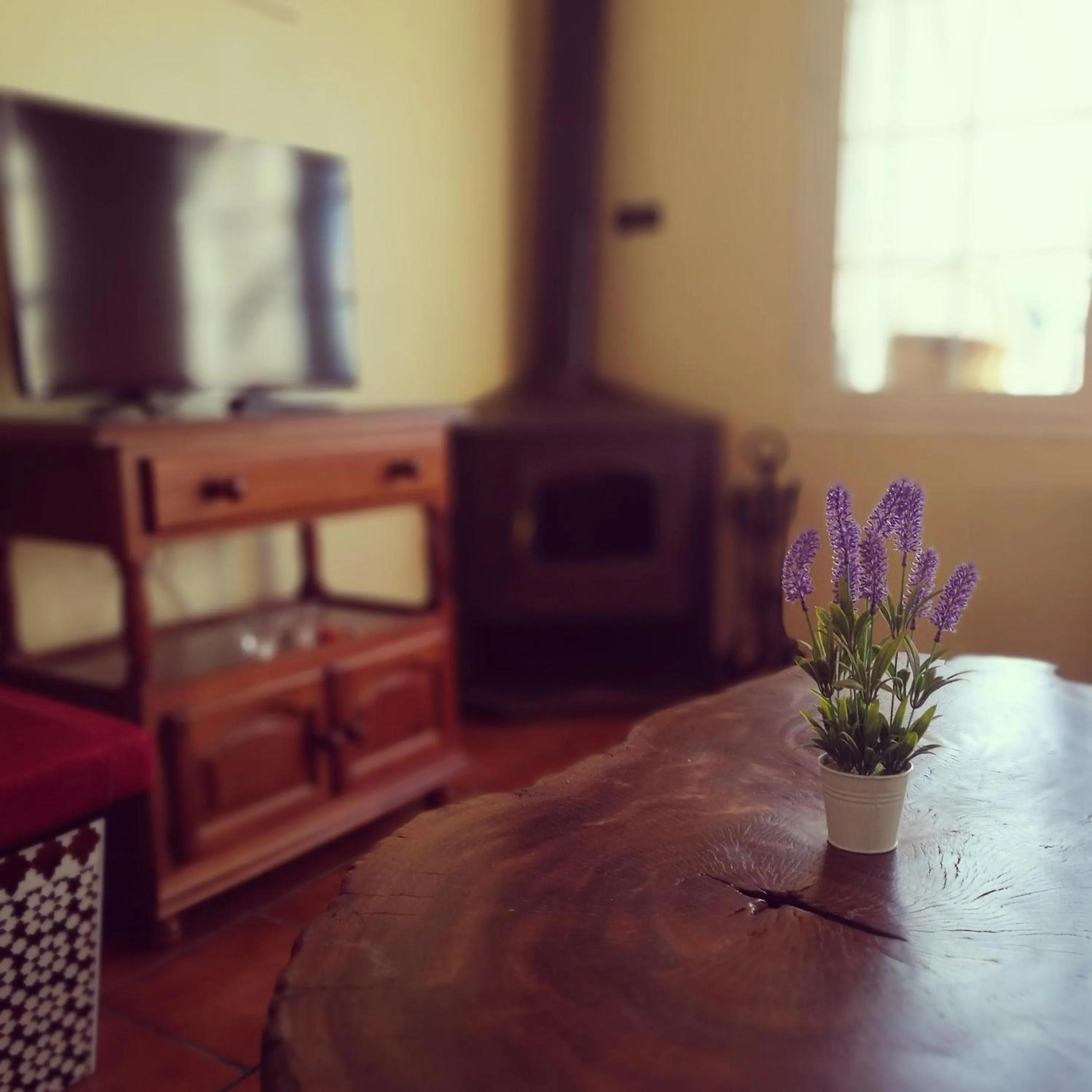 TV and multimedia in Villa Ignacia B&B - Naturaleza entre Ronda & Setenil