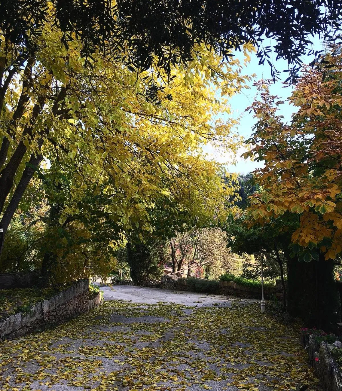 Garden in Villa Ignacia B&B - Naturaleza entre Ronda & Setenil