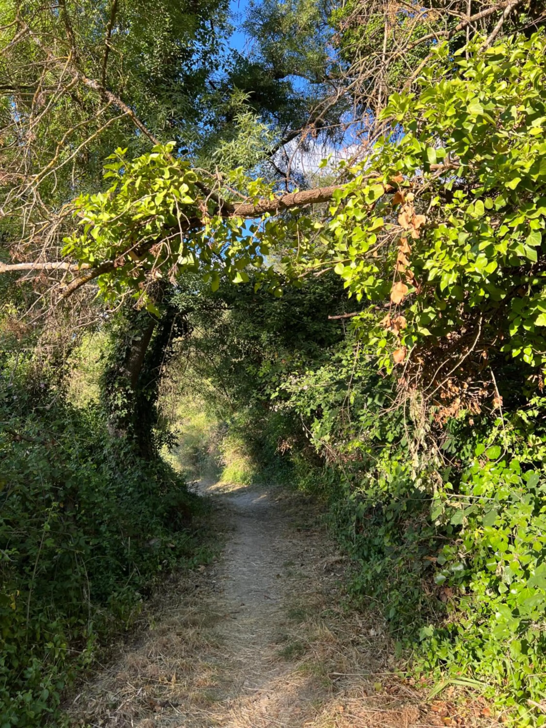 Villa Ignacia B&B - Naturaleza entre Ronda & Setenil