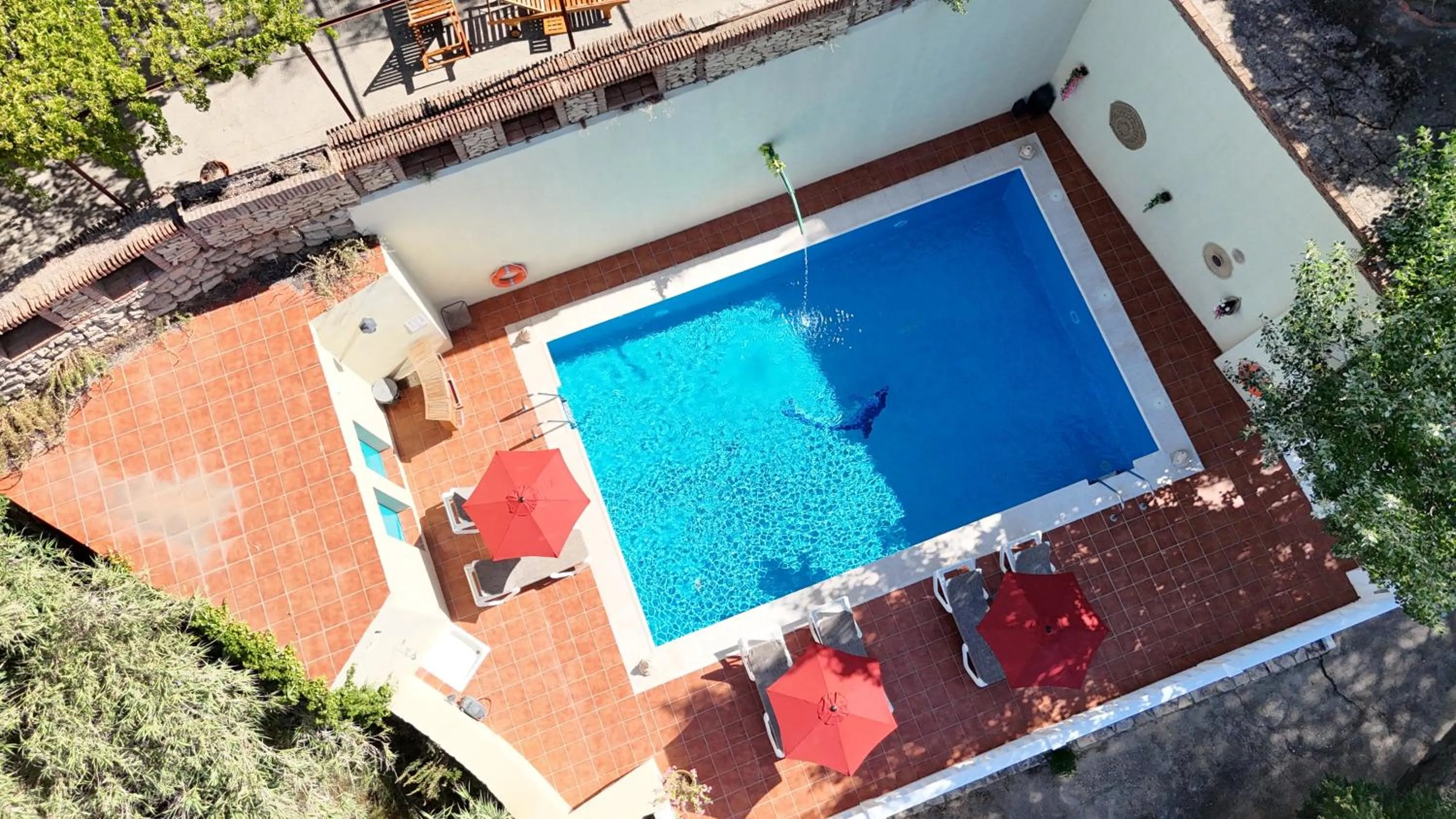 Solarium in Villa Ignacia B&B - Naturaleza entre Ronda & Setenil