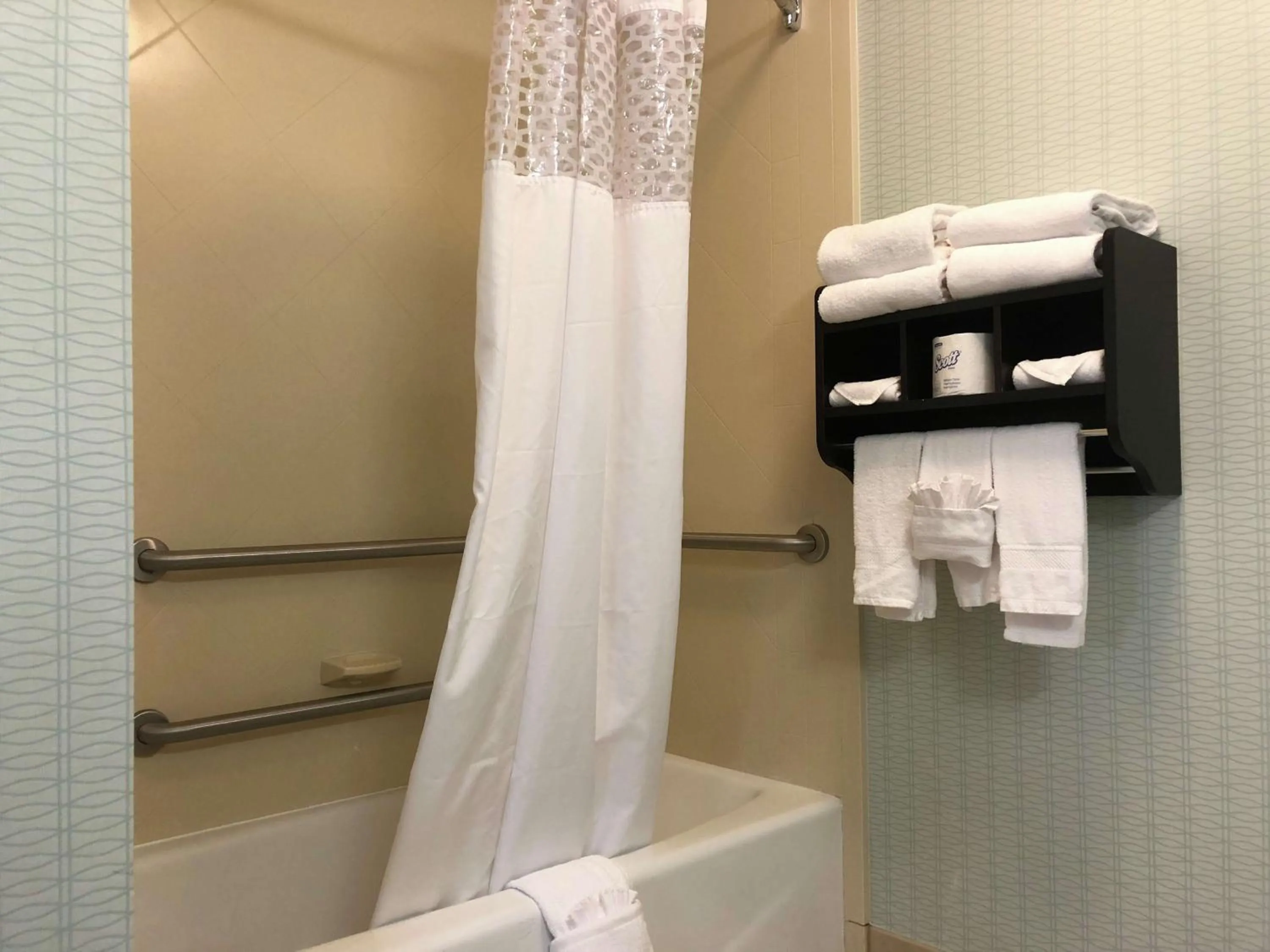 Bathroom in Hampton Inn & Suites Nashville at Opryland