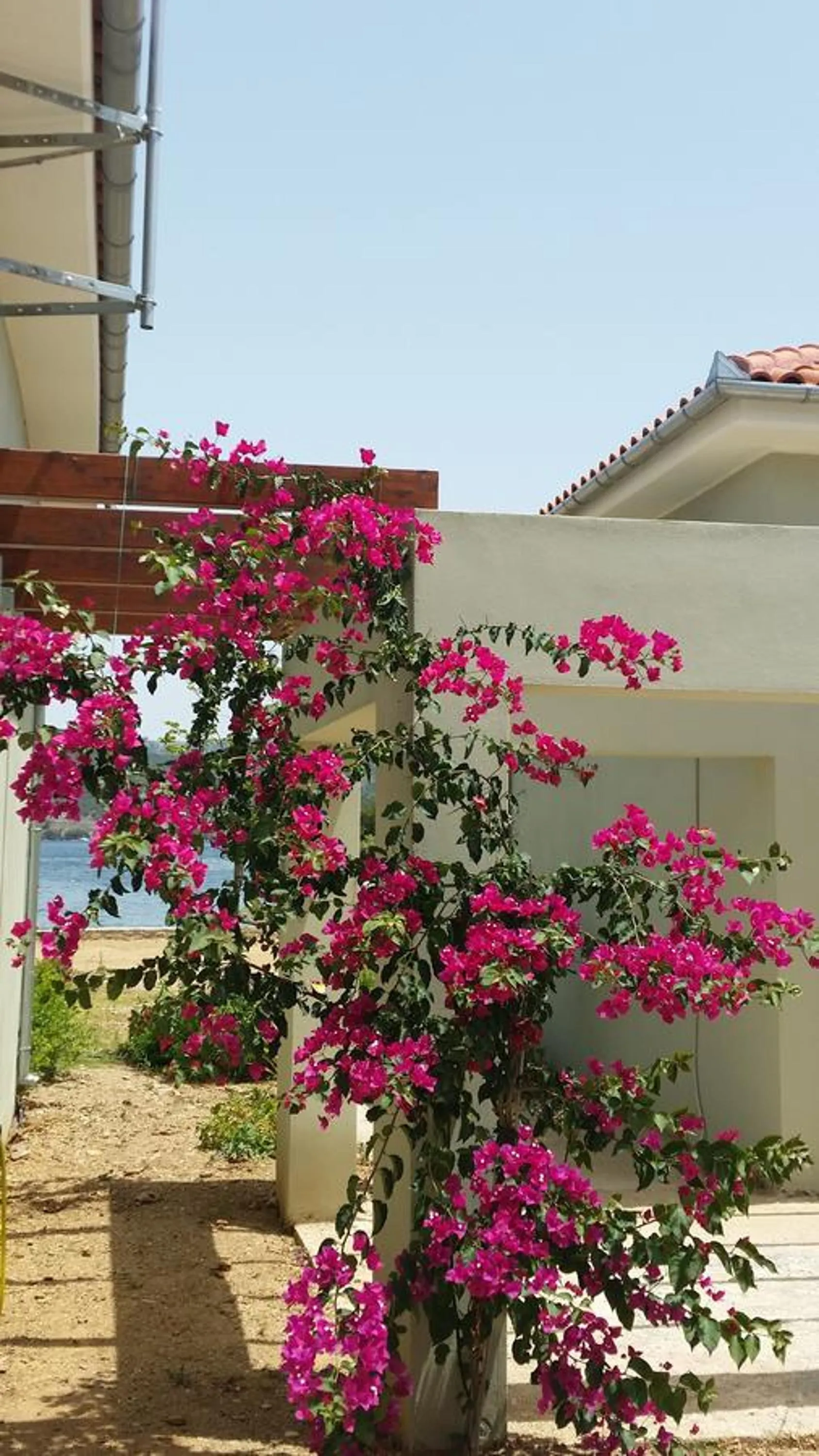 Property building in Thea Houses