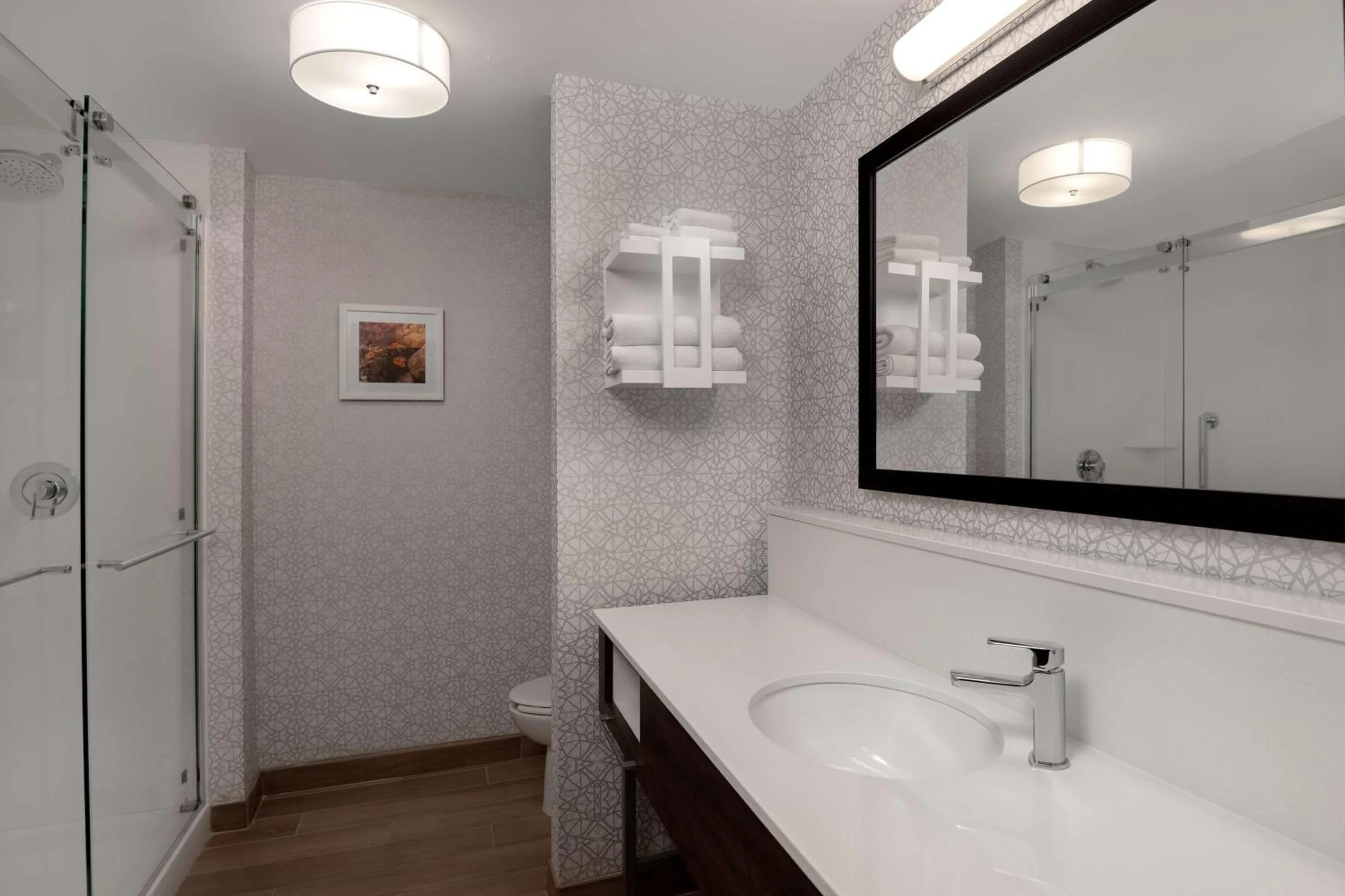 Bathroom in Hampton Inn & Suites Billings West I-90