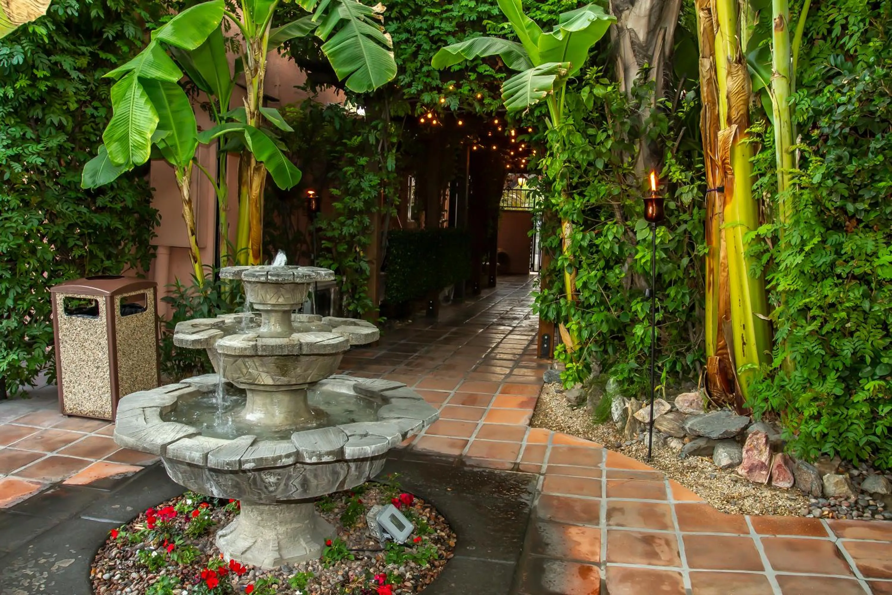 Garden in Hotel California