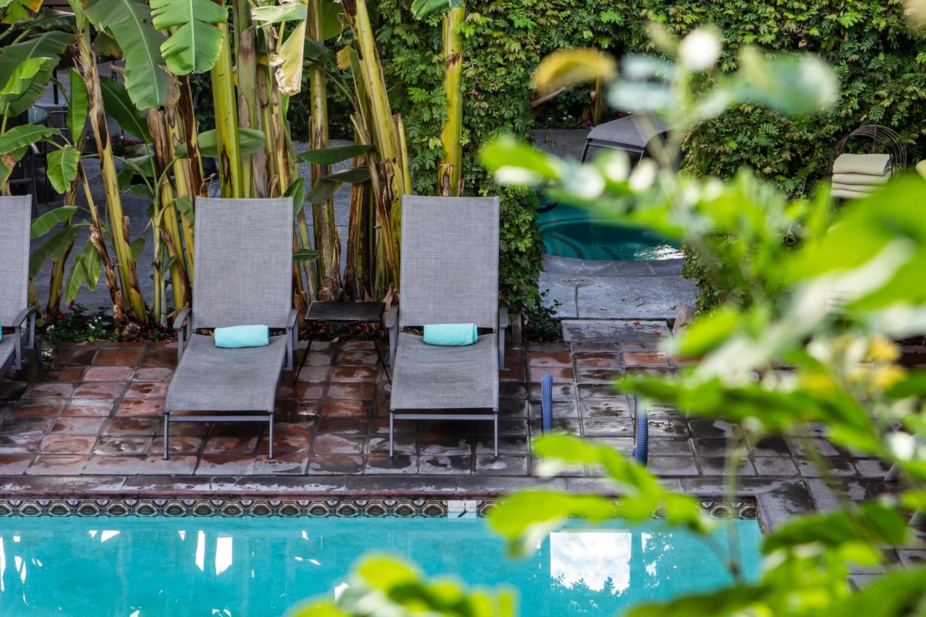 Swimming pool in Hotel California