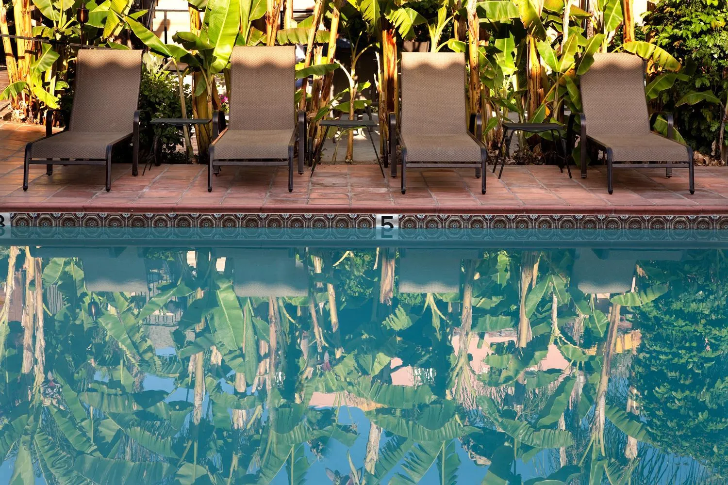 Swimming pool in Hotel California