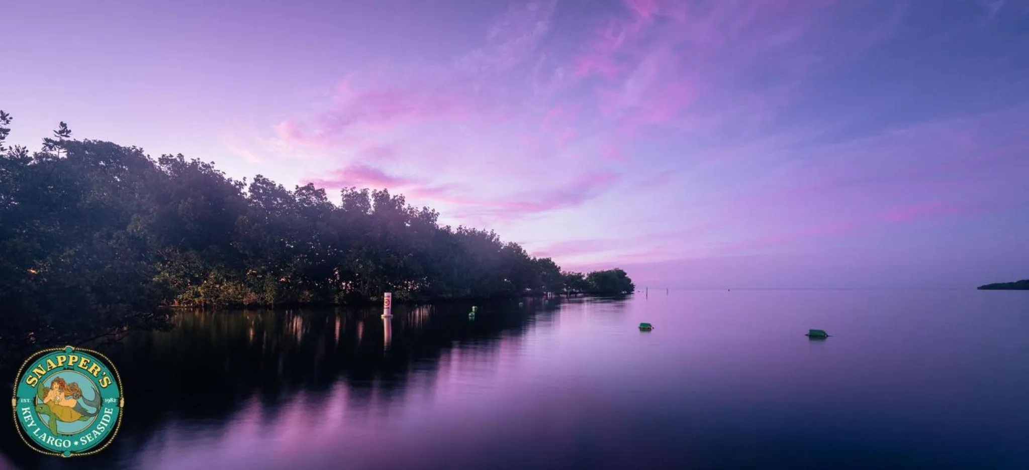View (from property/room) in Snappers Key Largo