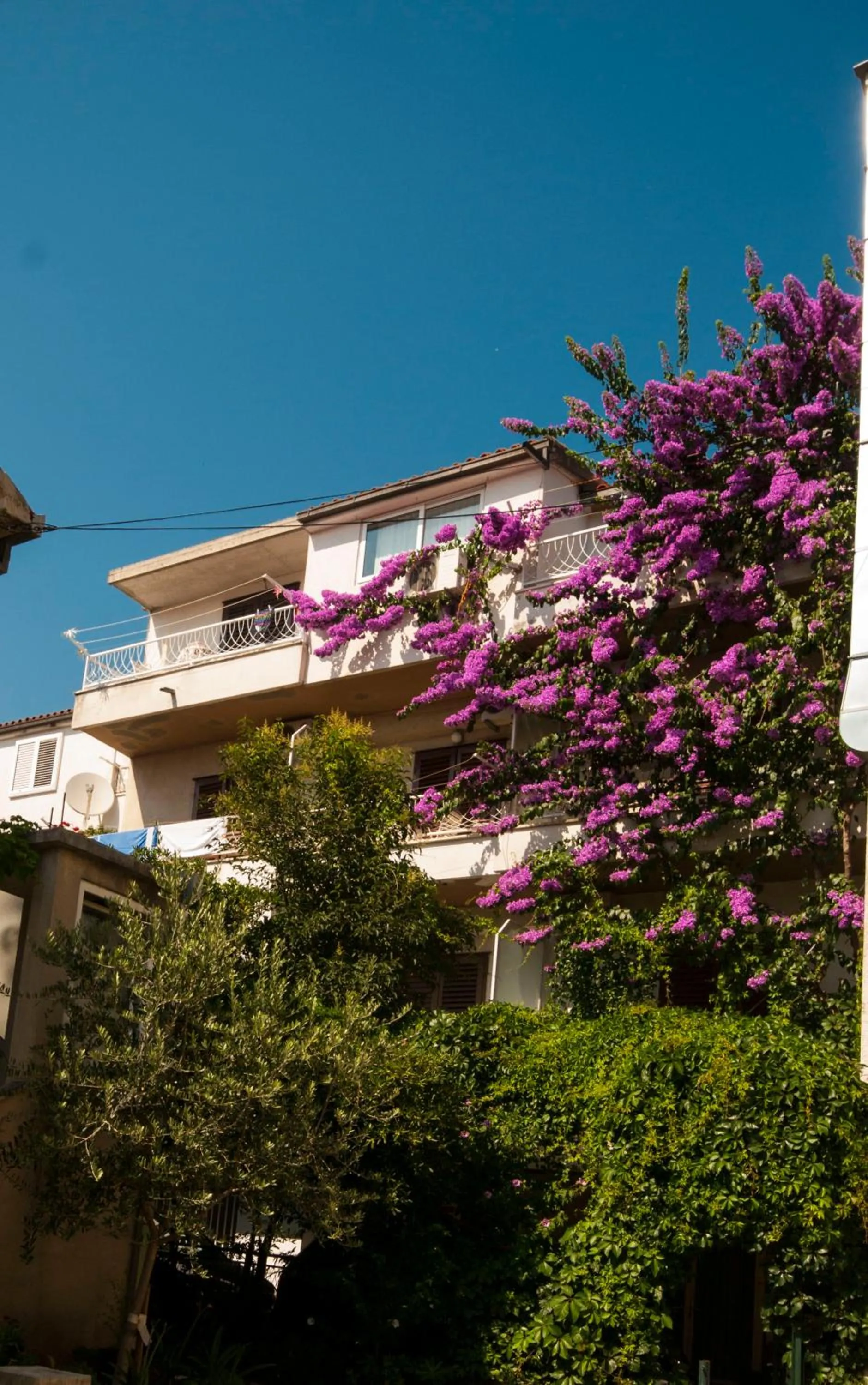 Apartments Mateljak