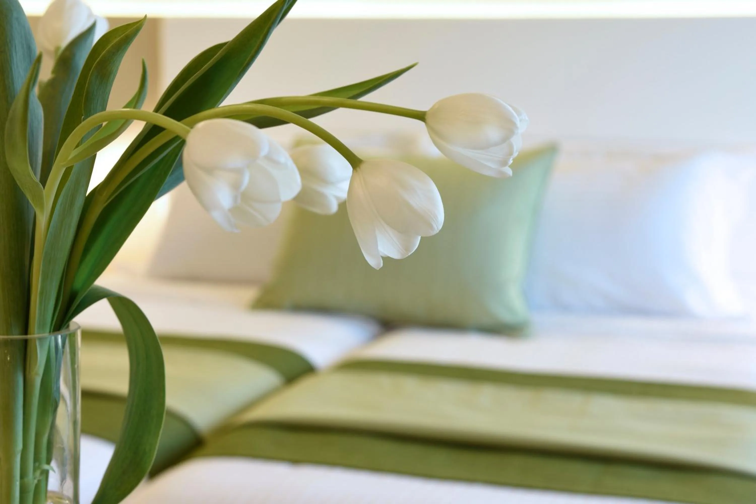 Decorative detail, Bed in Athens Avenue Hotel