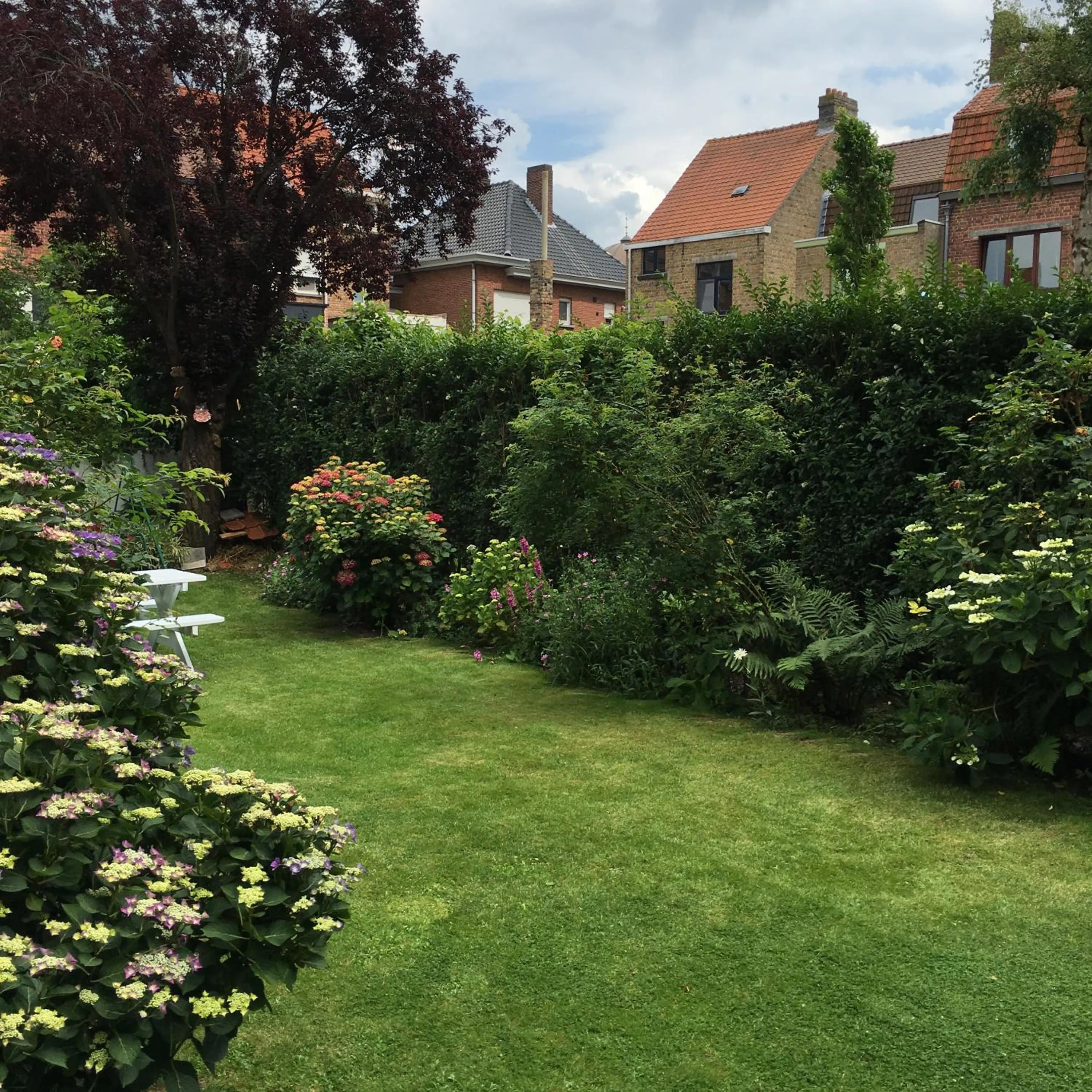 Property building in Bella Noche Brugge