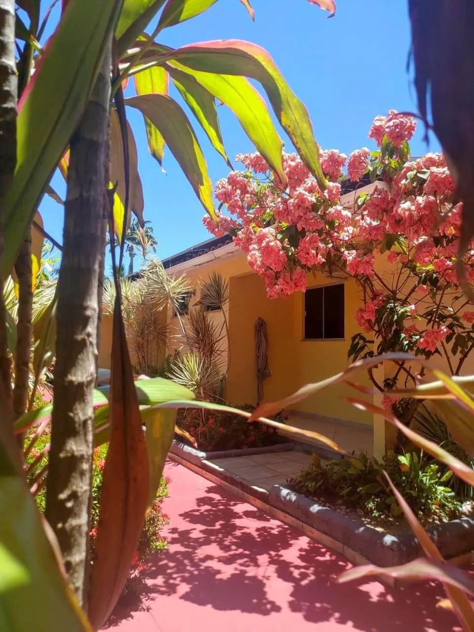 Garden in Hotel Porto Garden