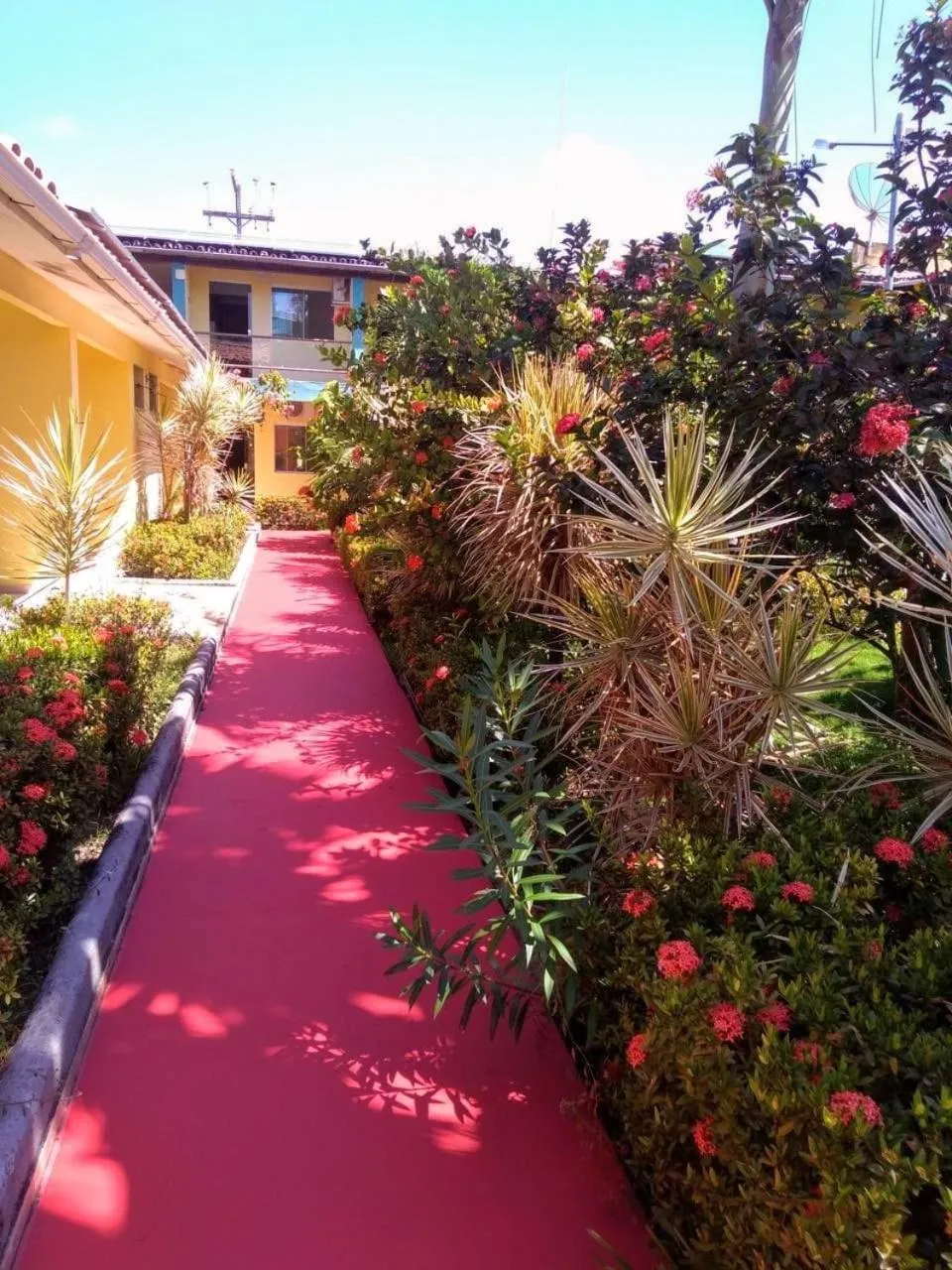 Garden view in Hotel Porto Garden