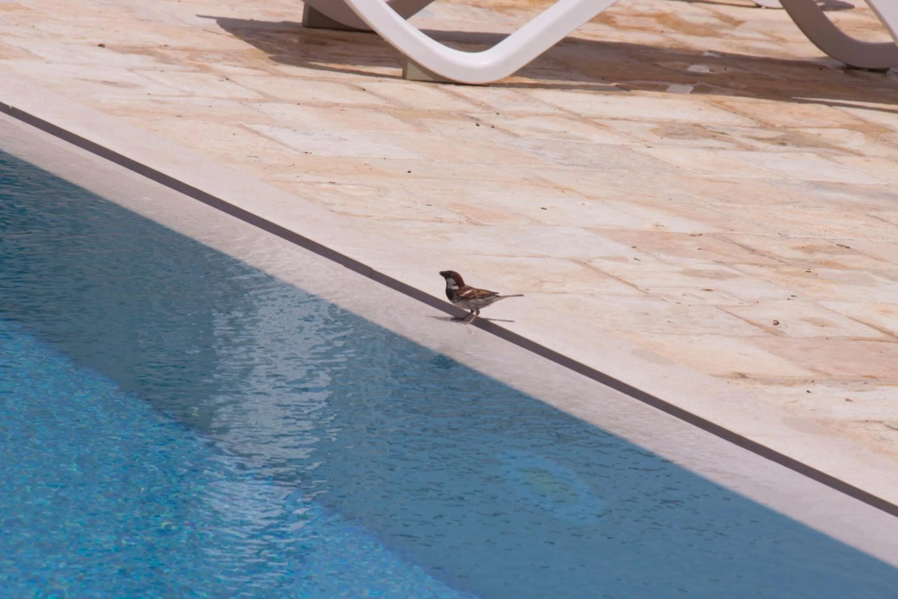 Decorative detail in Casale Salento