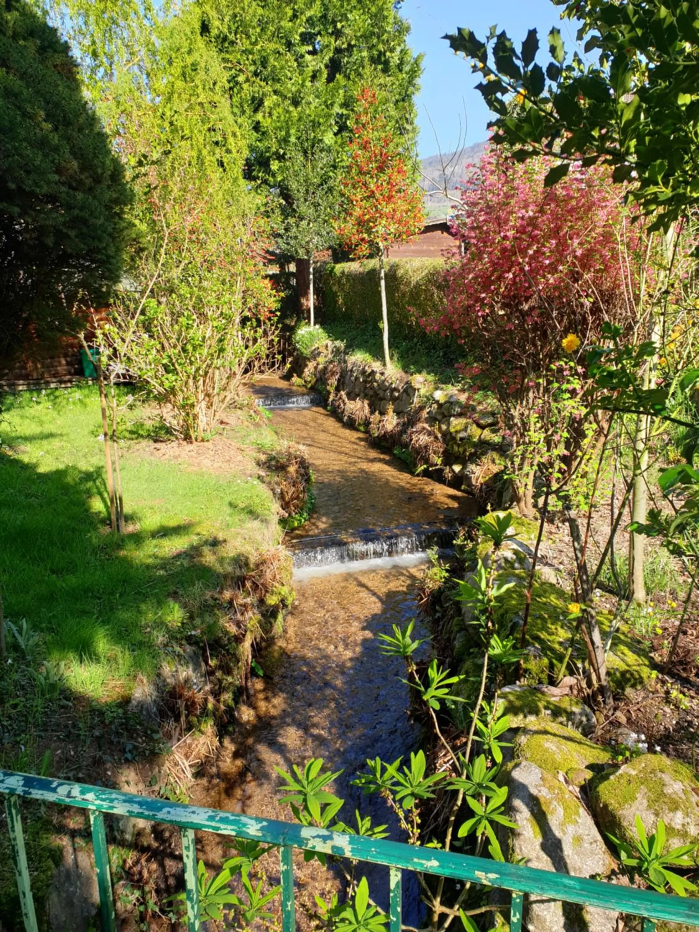 Garden in Hotel Restaurant le Faudé
