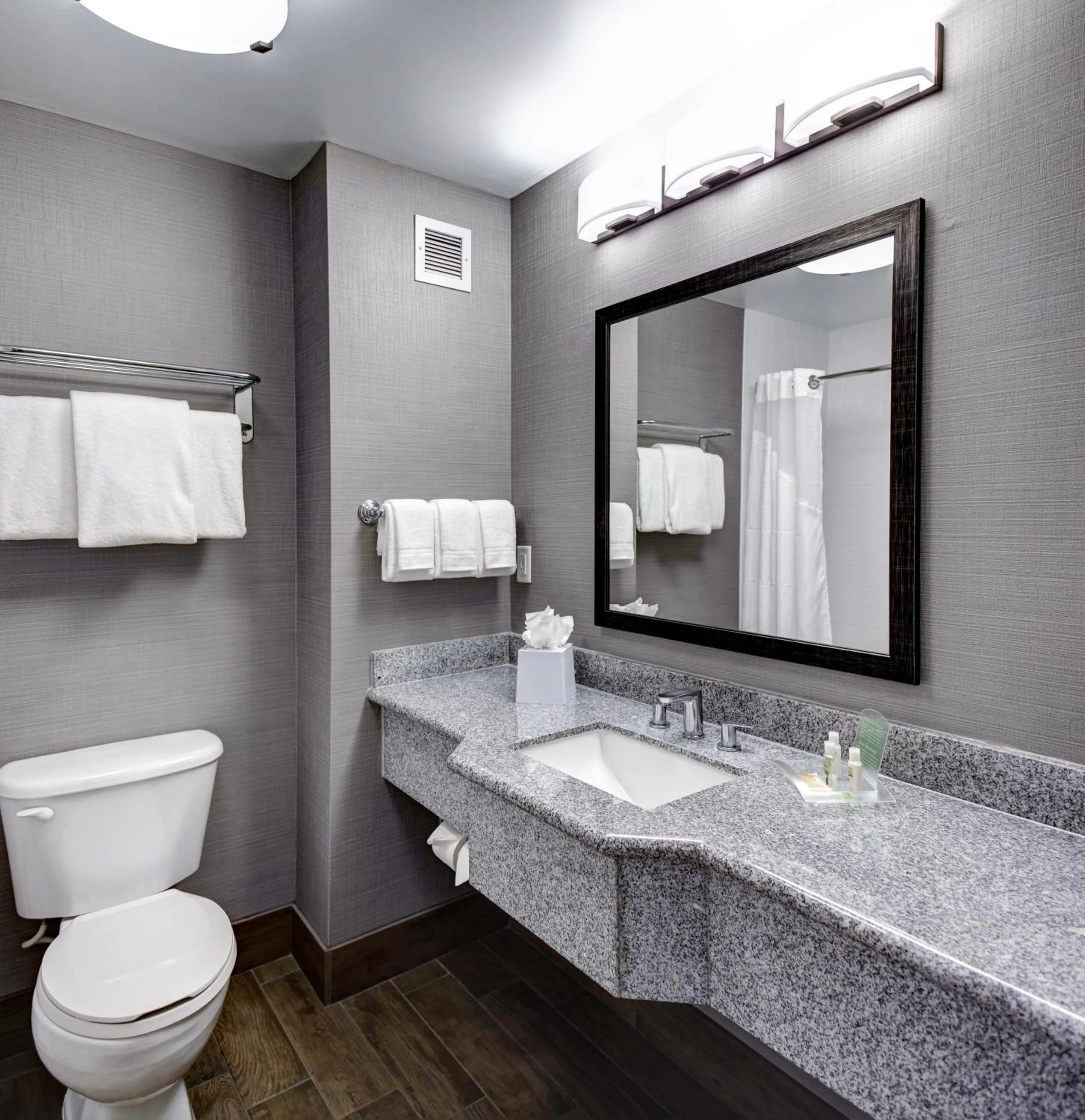 Bathroom in Holiday Inn Savannah Historic District by IHG