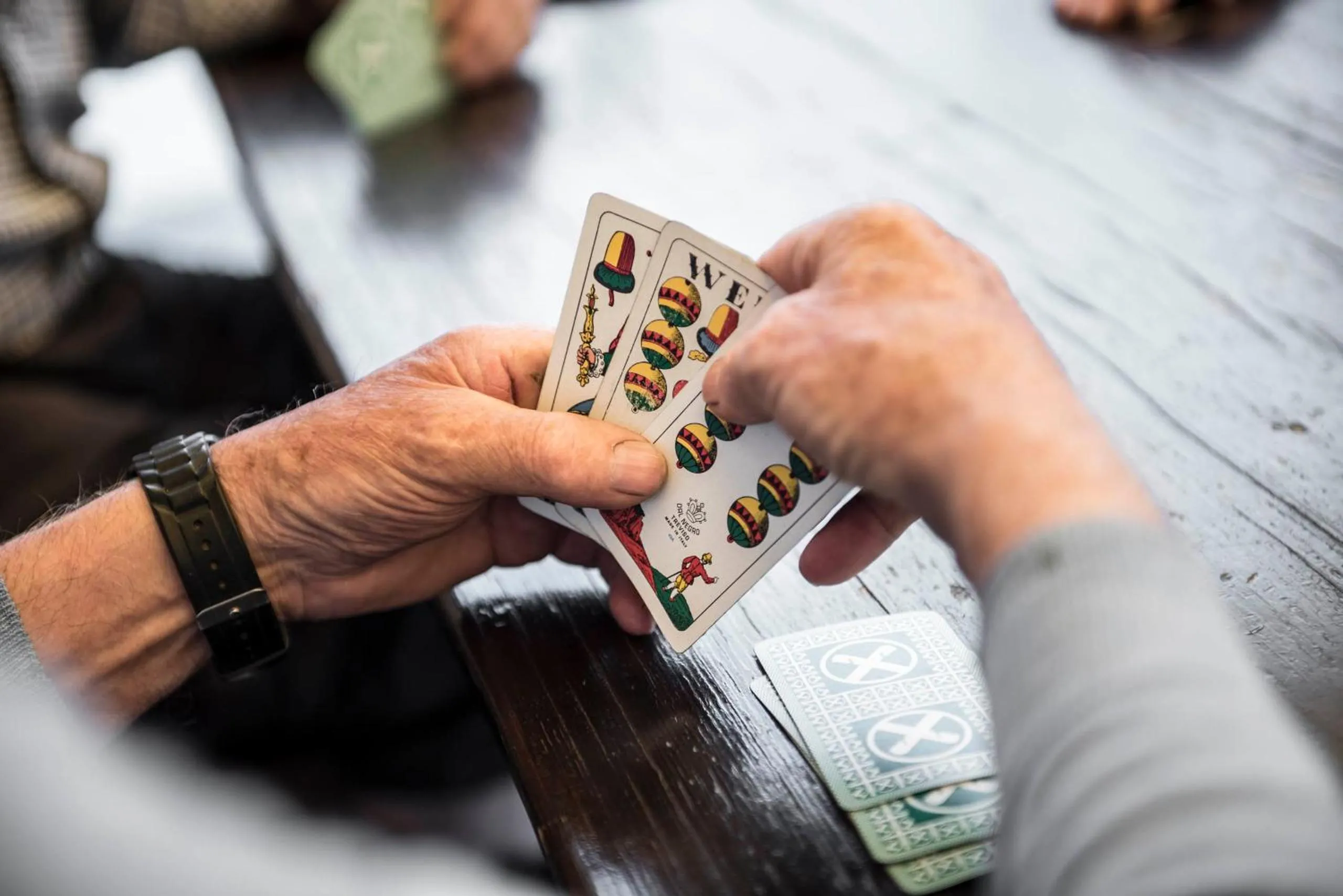 Activities in Pension Panorama