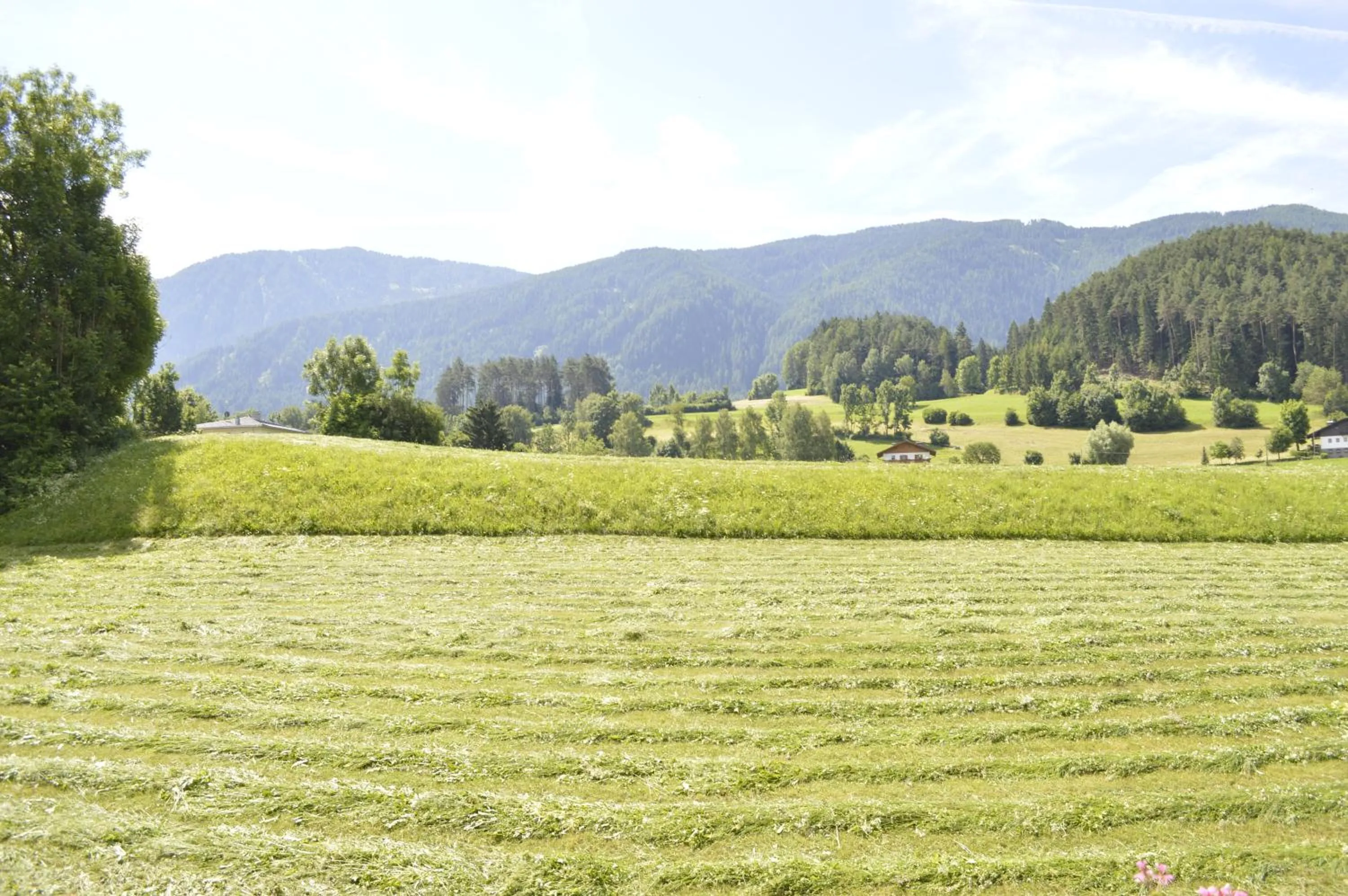 Spring in Pension Panorama