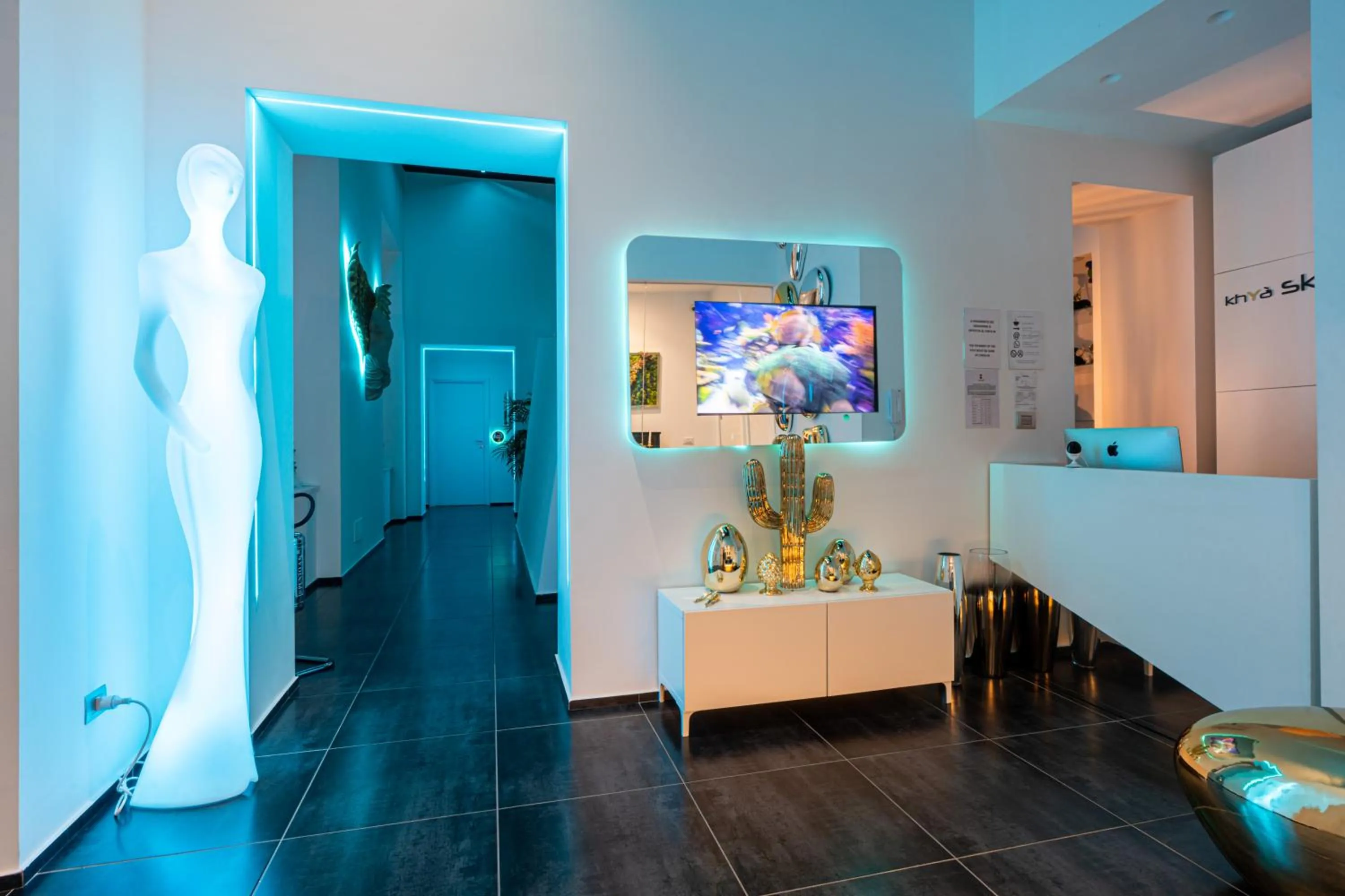 TV and multimedia in Skyhouse Chiaia