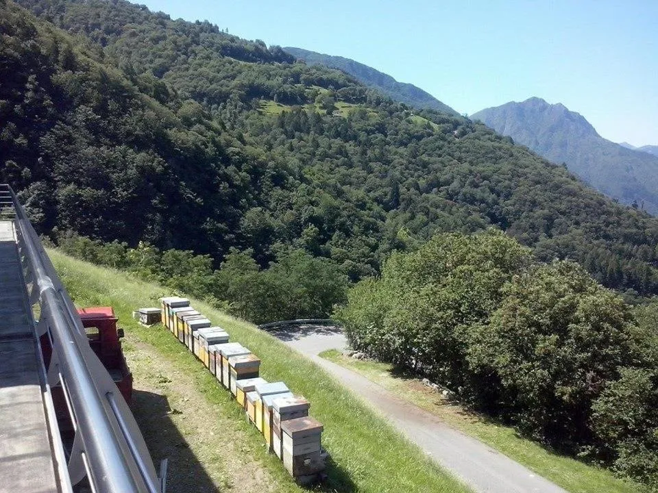 Agriturismo Alveare sul lago