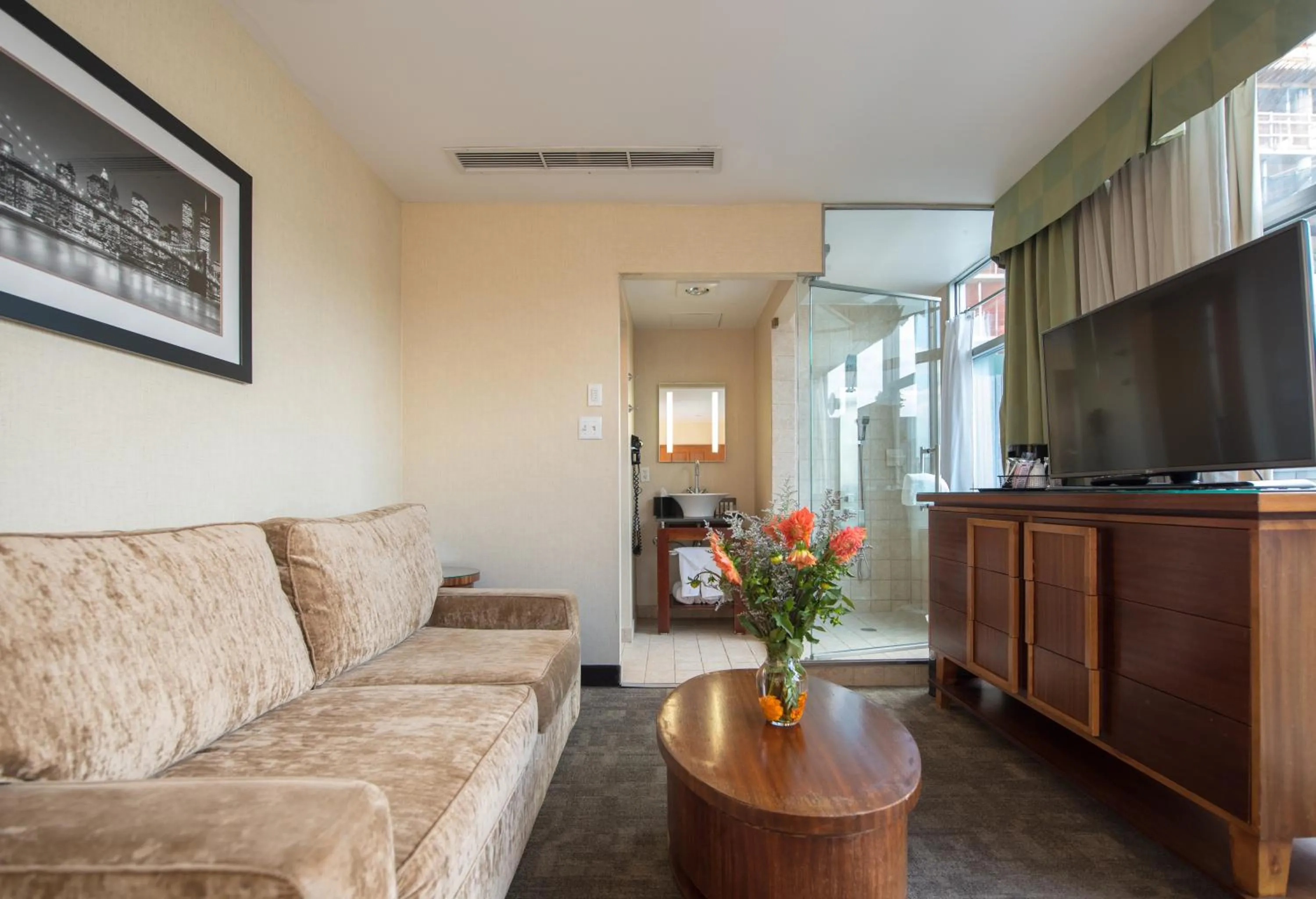 Living room in SoHo 54