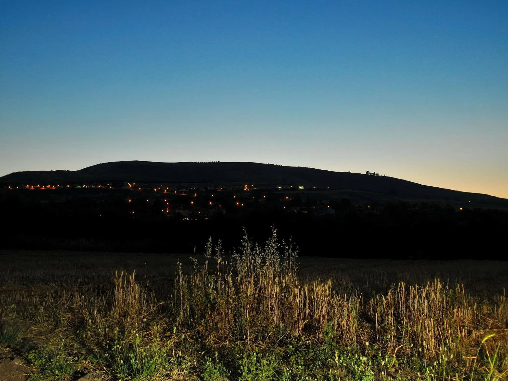 Other in Zimmer BaSadot