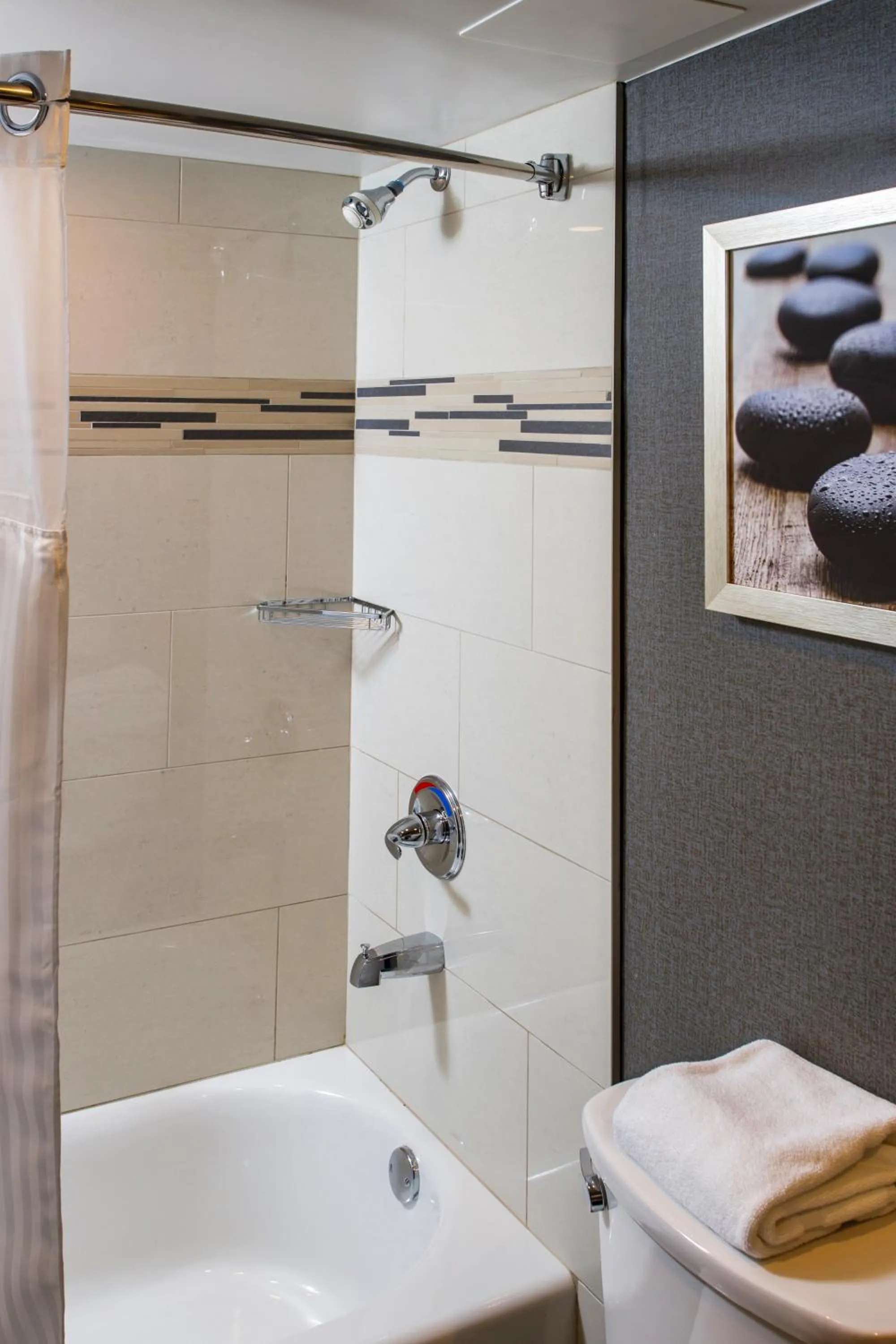 Shower in DoubleTree by Hilton Appleton, WI