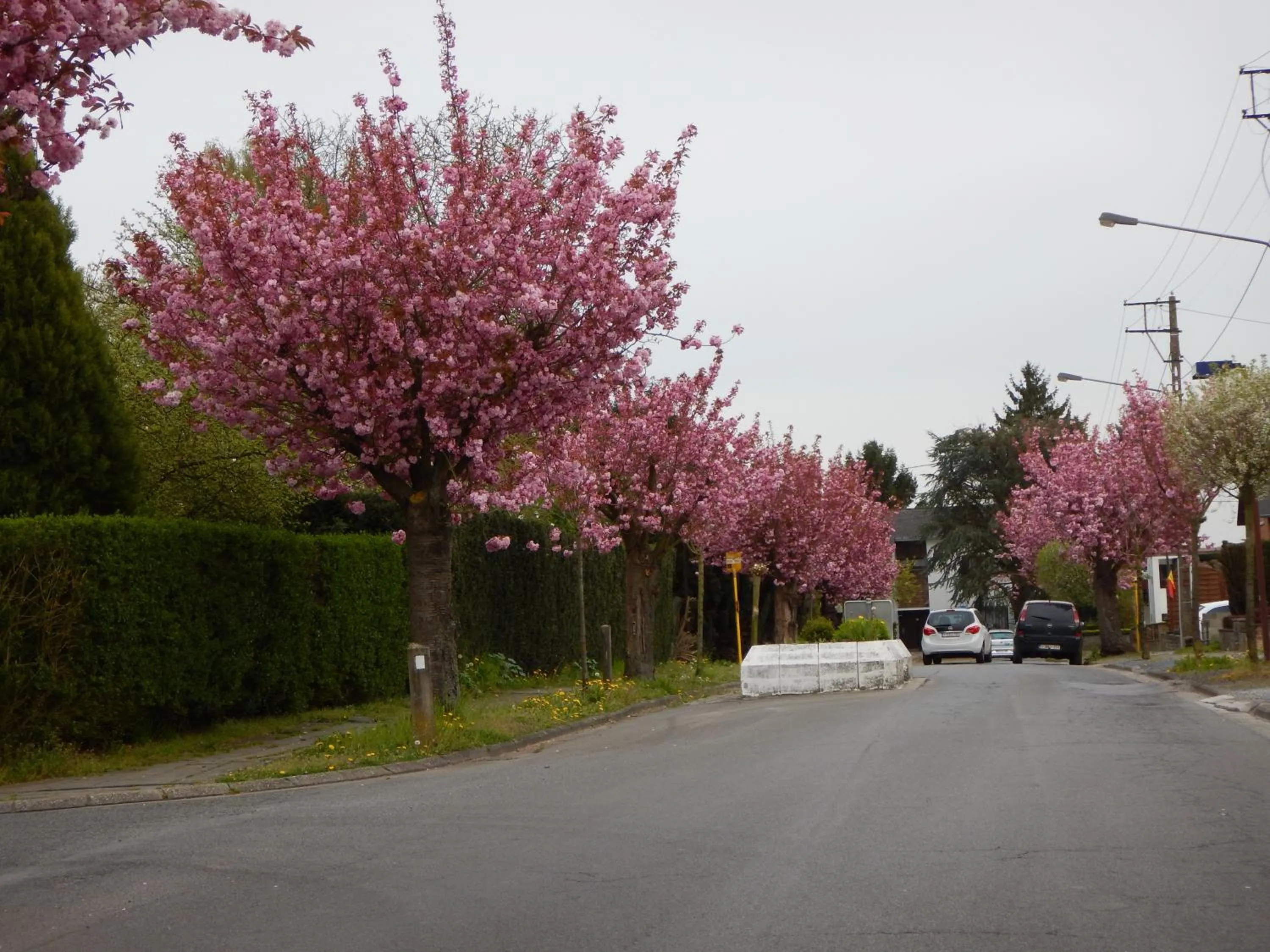 Off site in La Chrysalide