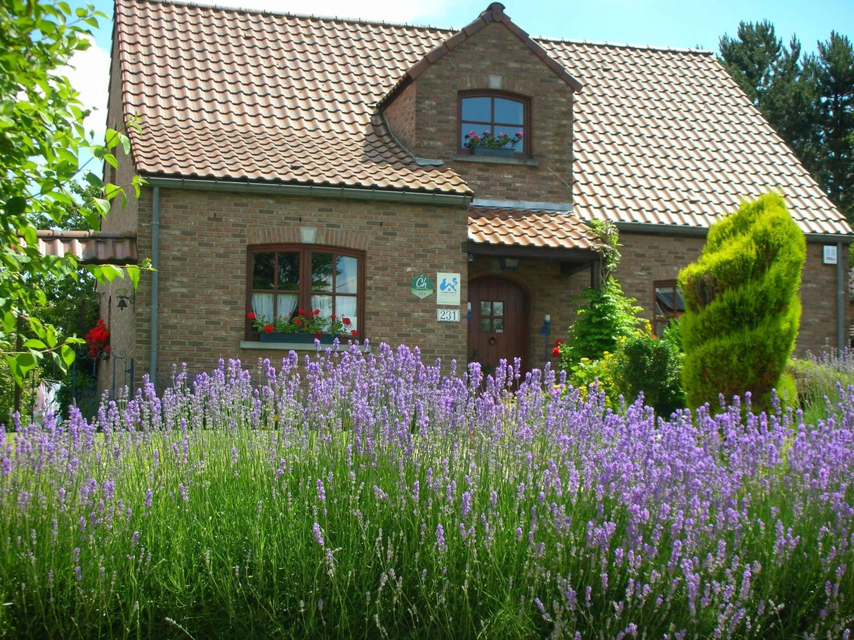 Property building in La Chrysalide