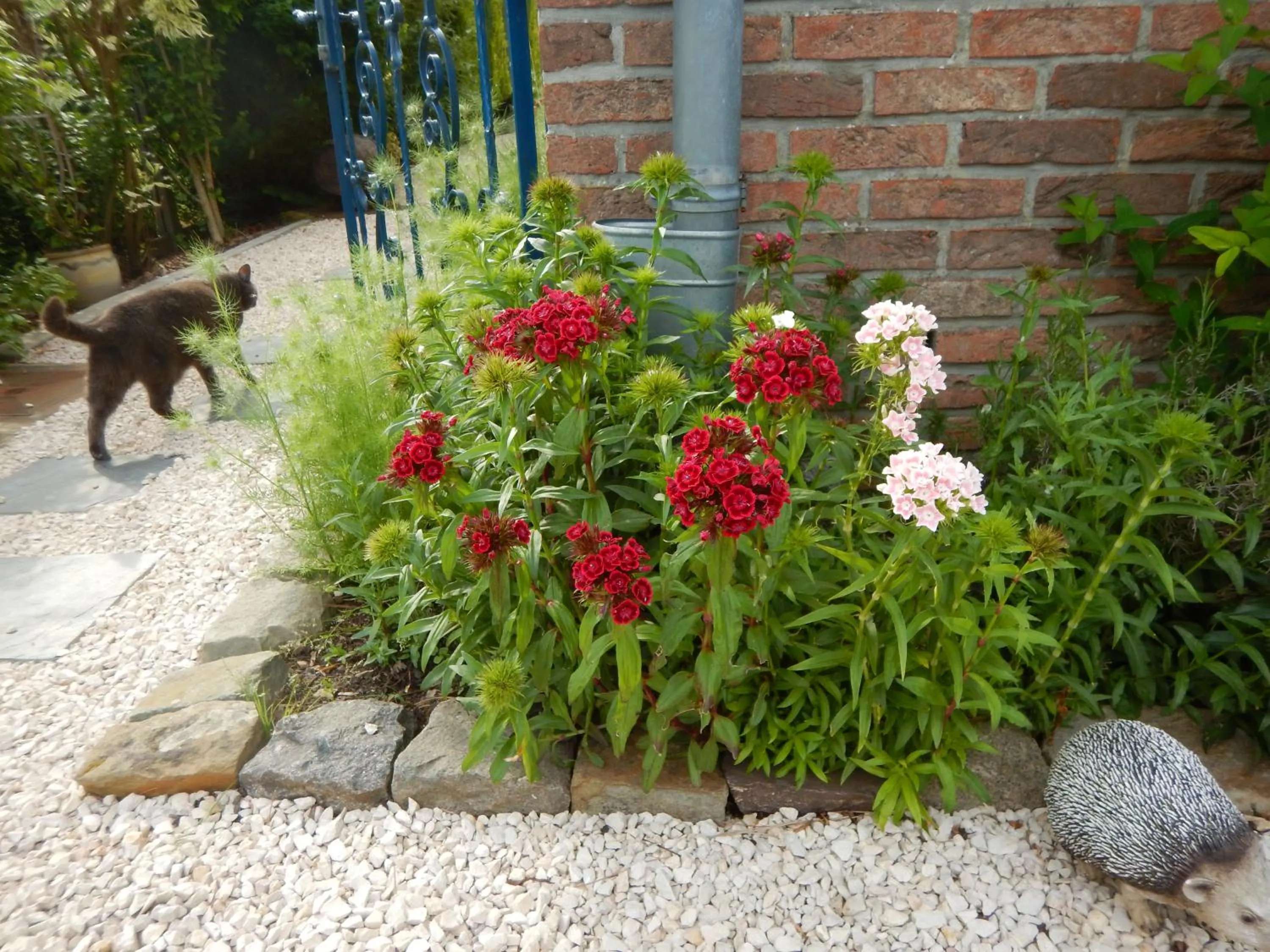 Garden in La Chrysalide