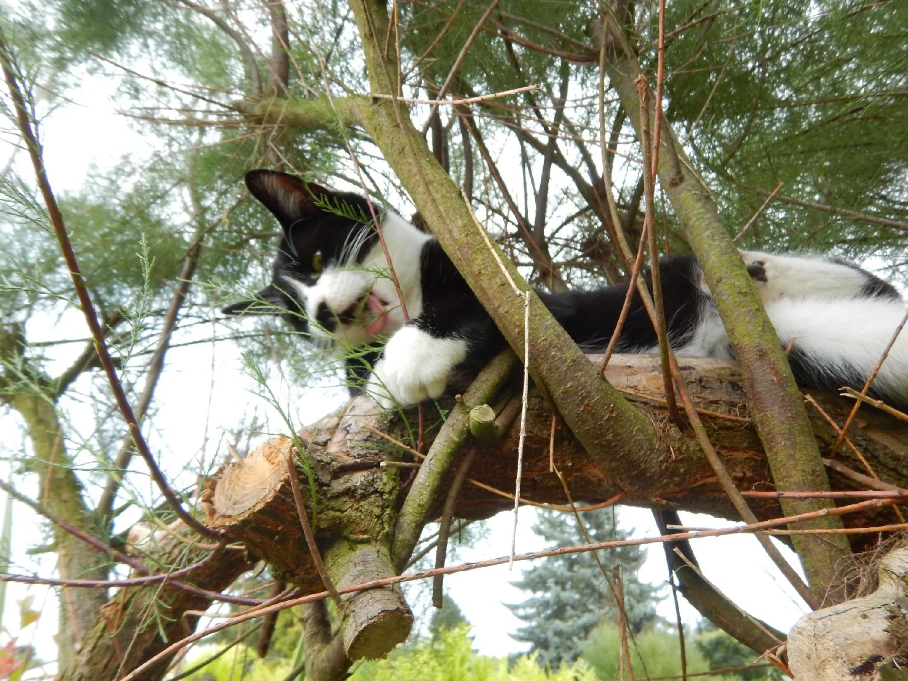 Summer in La Chrysalide