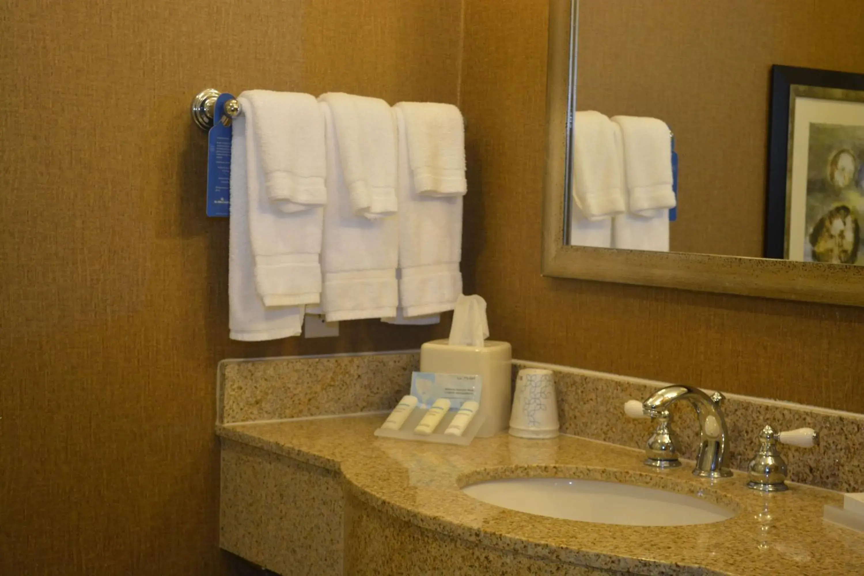 Bathroom in Hilton Garden Inn Houston-Pearland Bathroom in Hilton Garden Inn Houston-Pearland