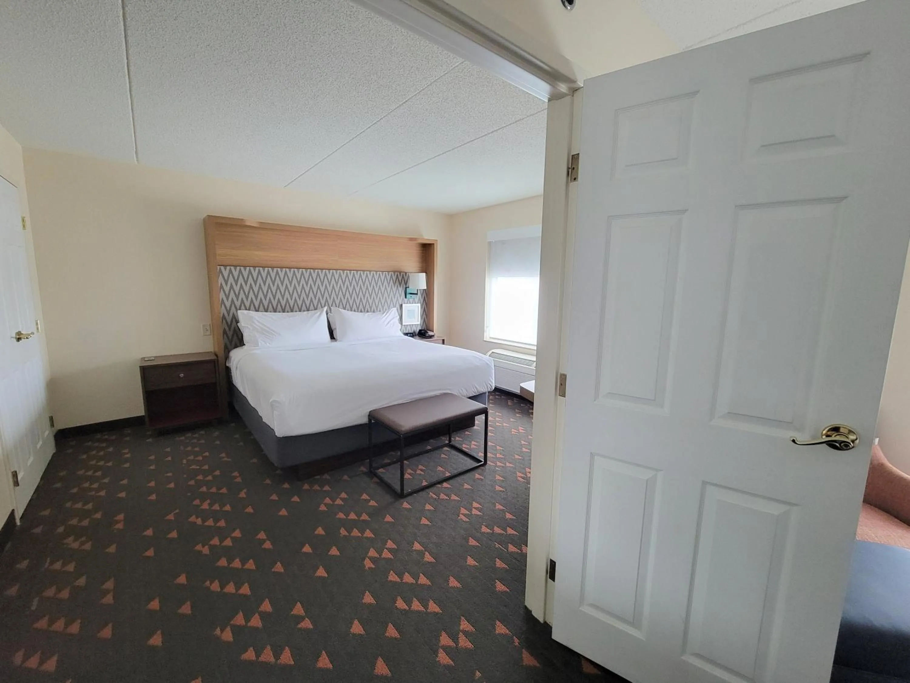 Photo of the whole room, Bed in Holiday Inn Hotel & Suites Ann Arbor University of Michigan Area by IHG