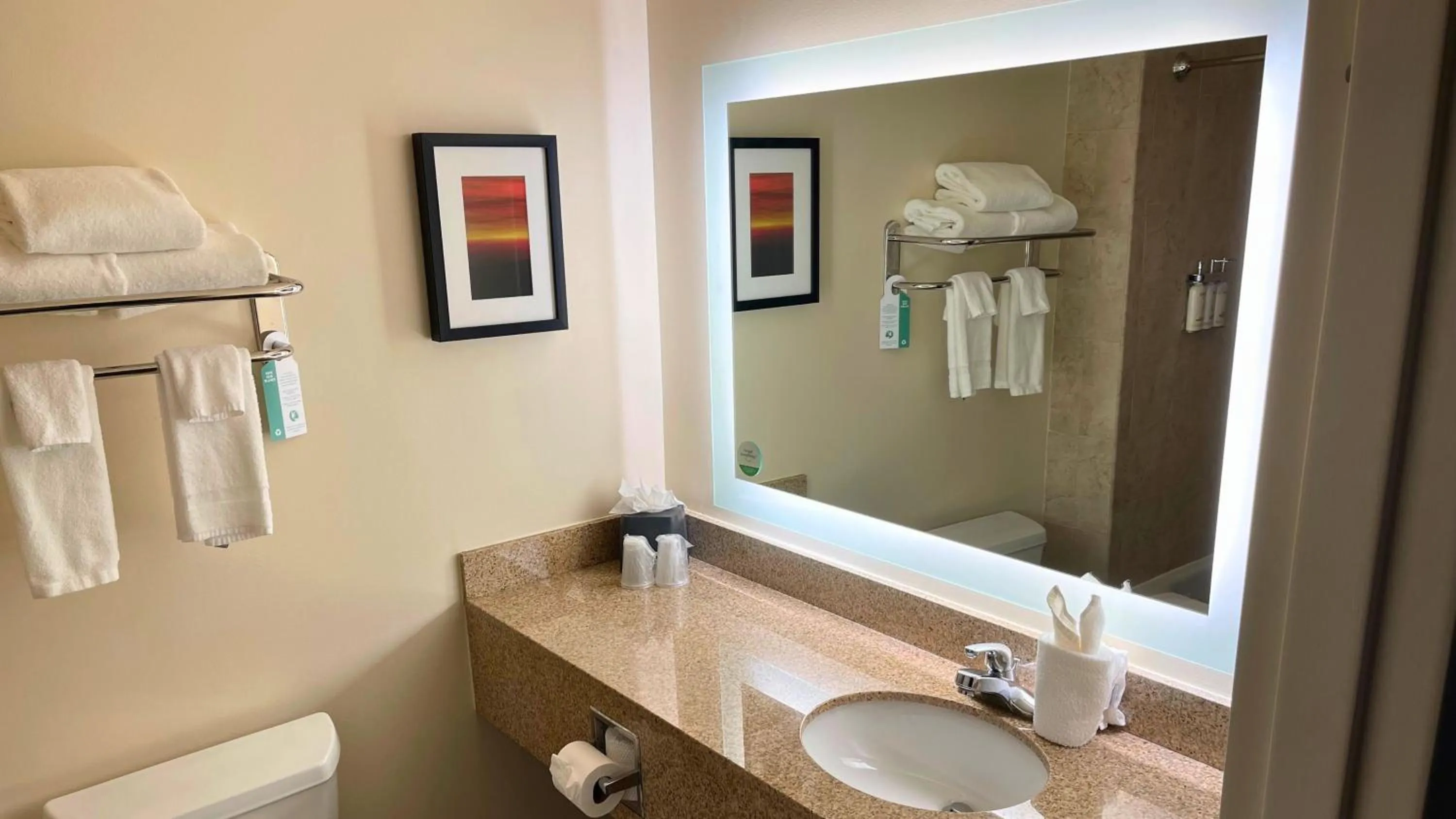 Bathroom in Holiday Inn Hotel & Suites Ann Arbor University of Michigan Area by IHG