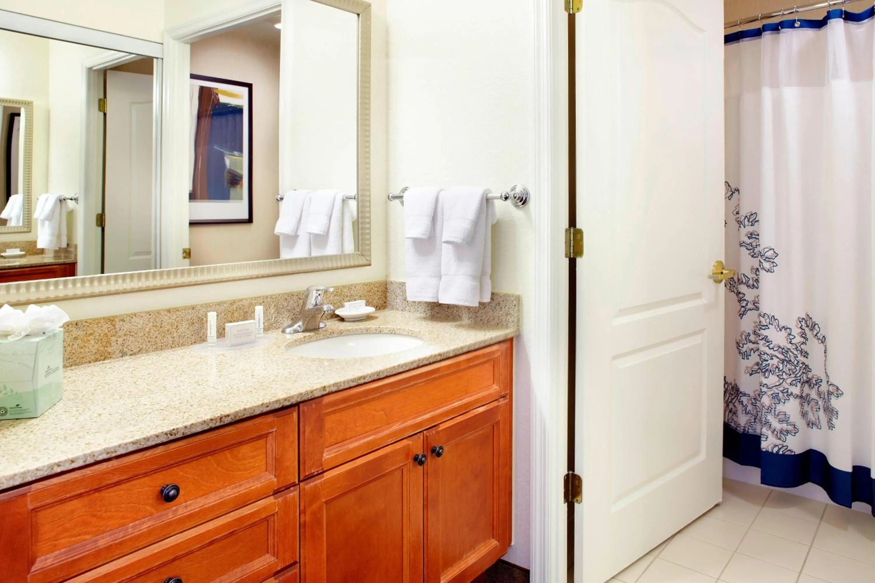 Bathroom in Residence Inn Tampa Oldsmar