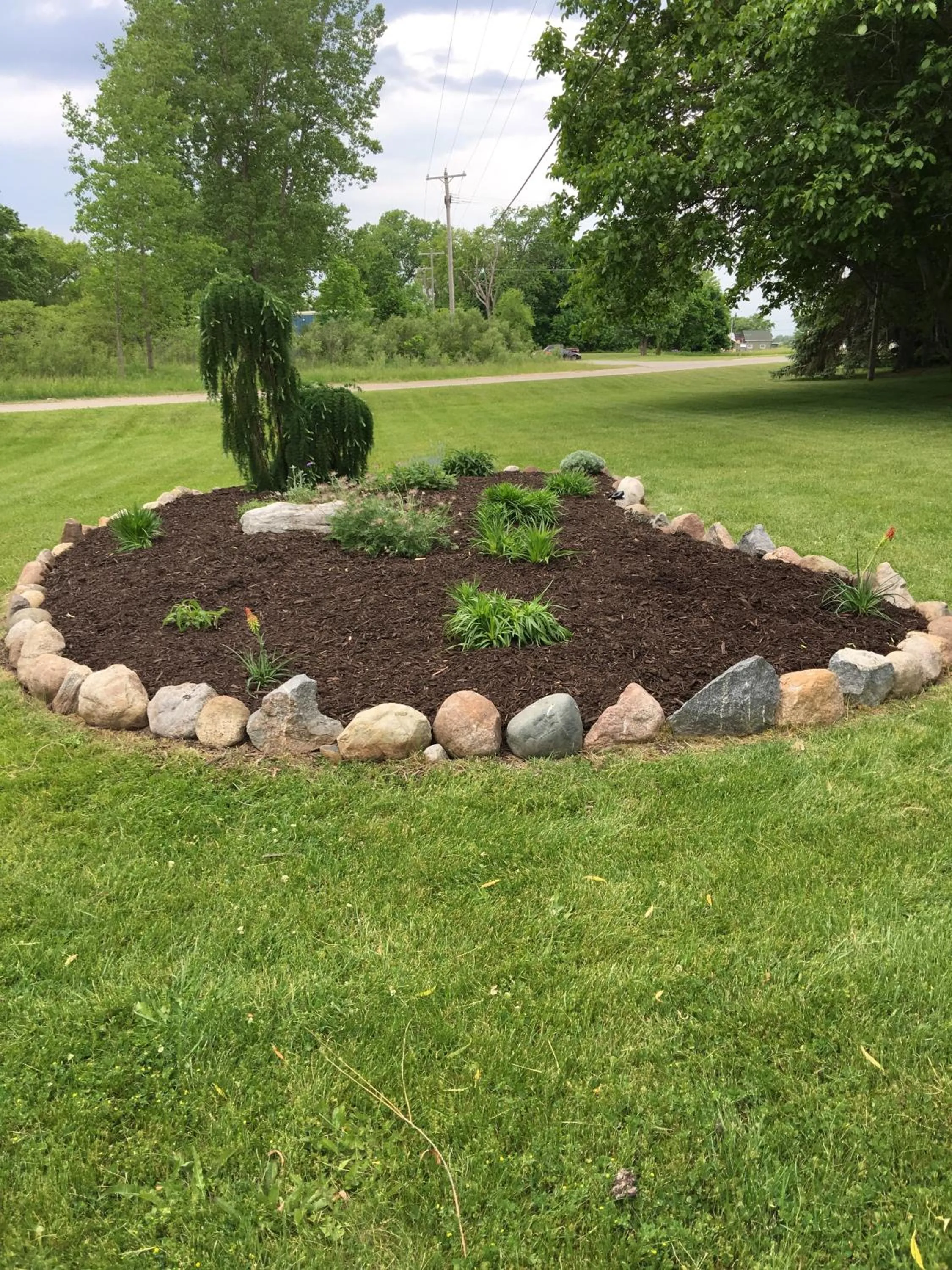 Garden in The Triangle Motel