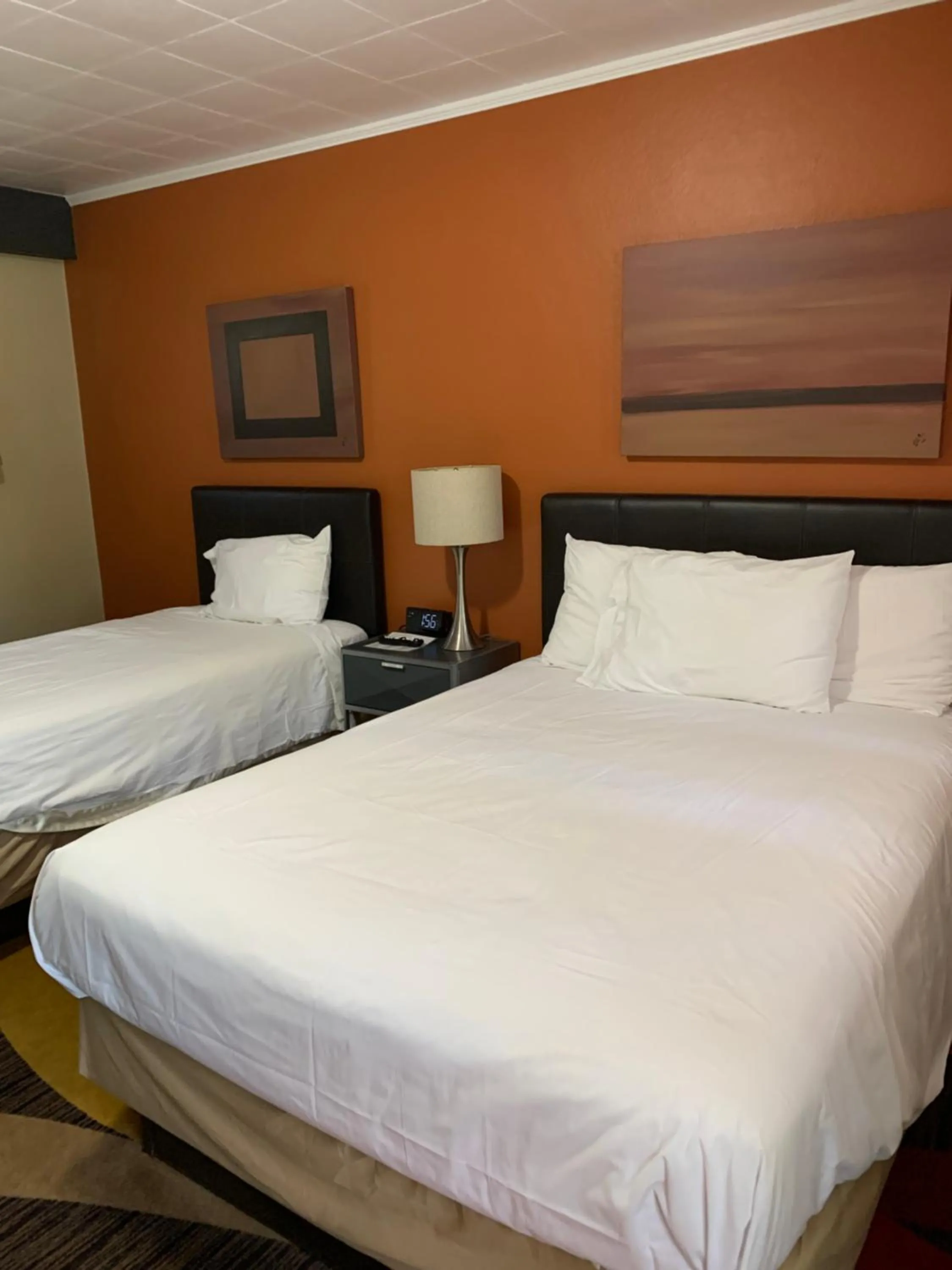 Bed in The Triangle Motel