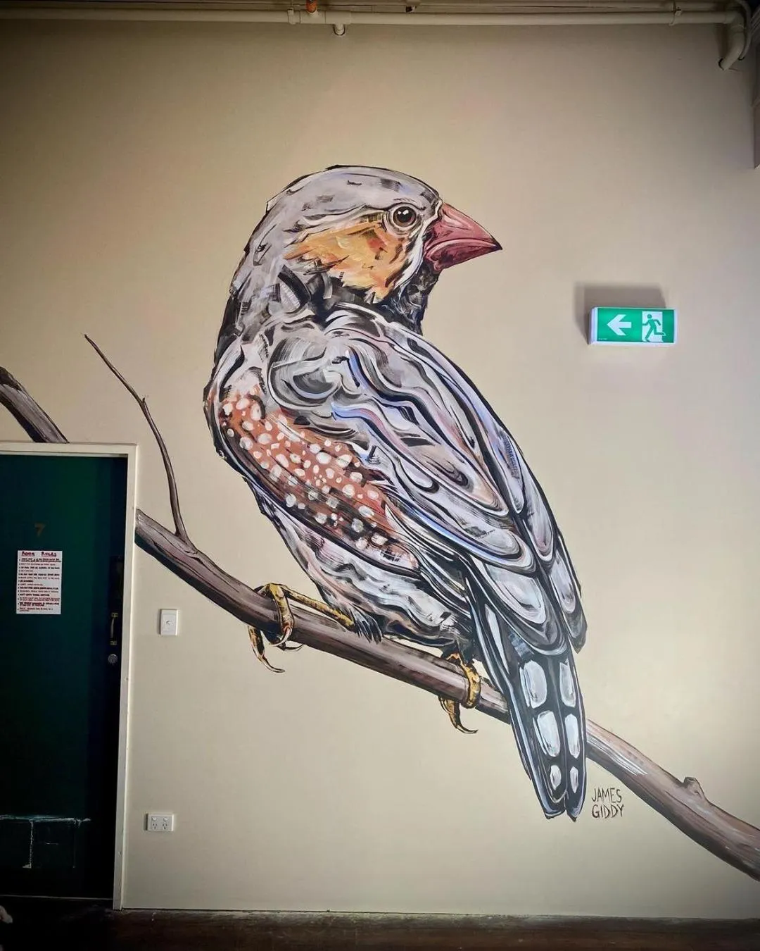 Decorative detail in Sundancer Backpackers Hostel