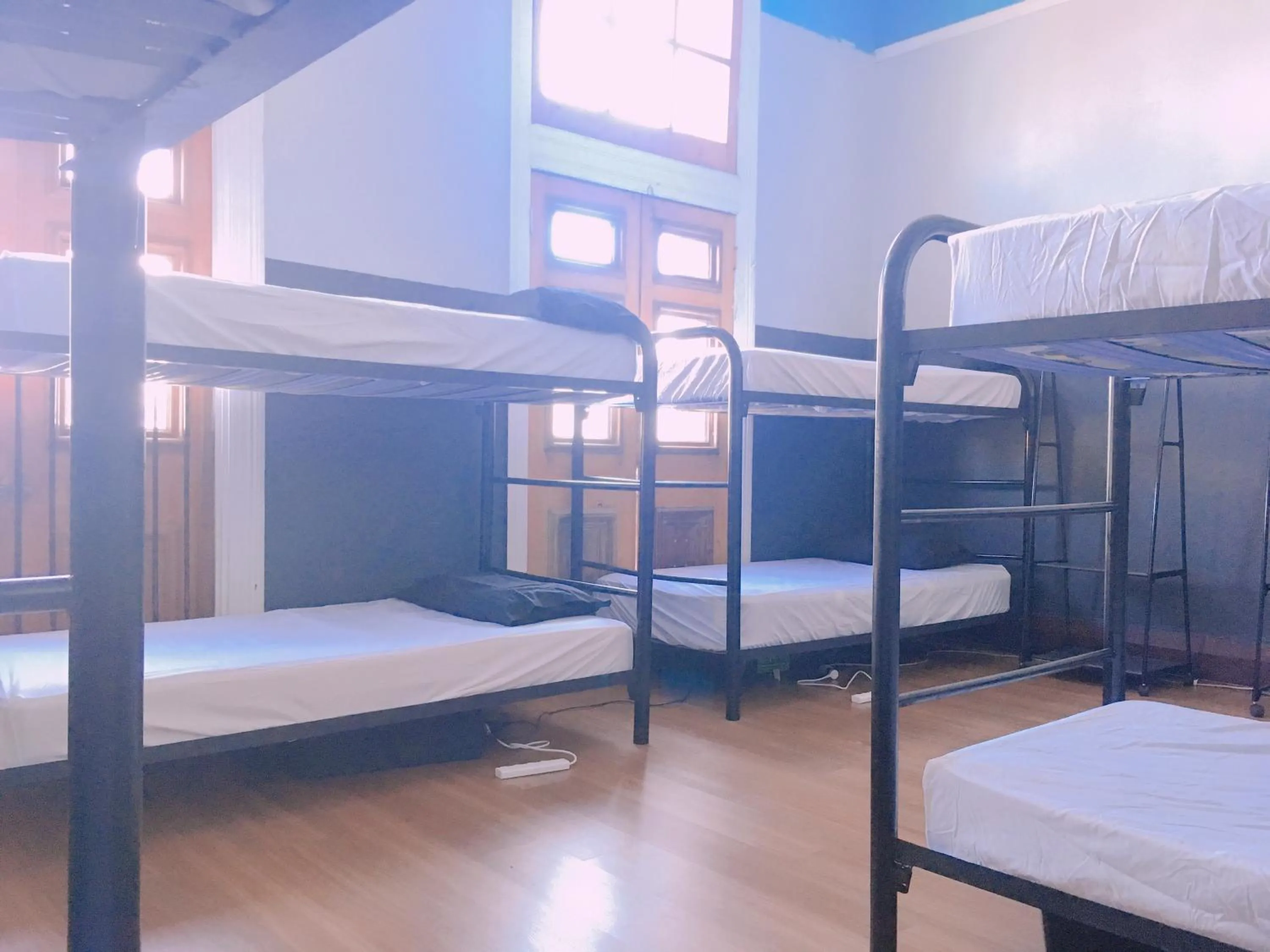 Bed in Sundancer Backpackers Hostel