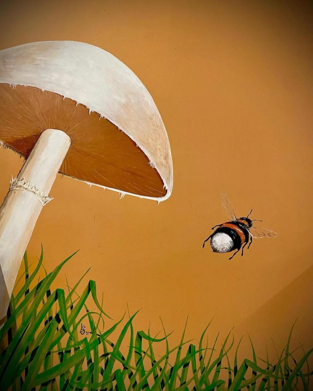 Decorative detail in Sundancer Backpackers Hostel