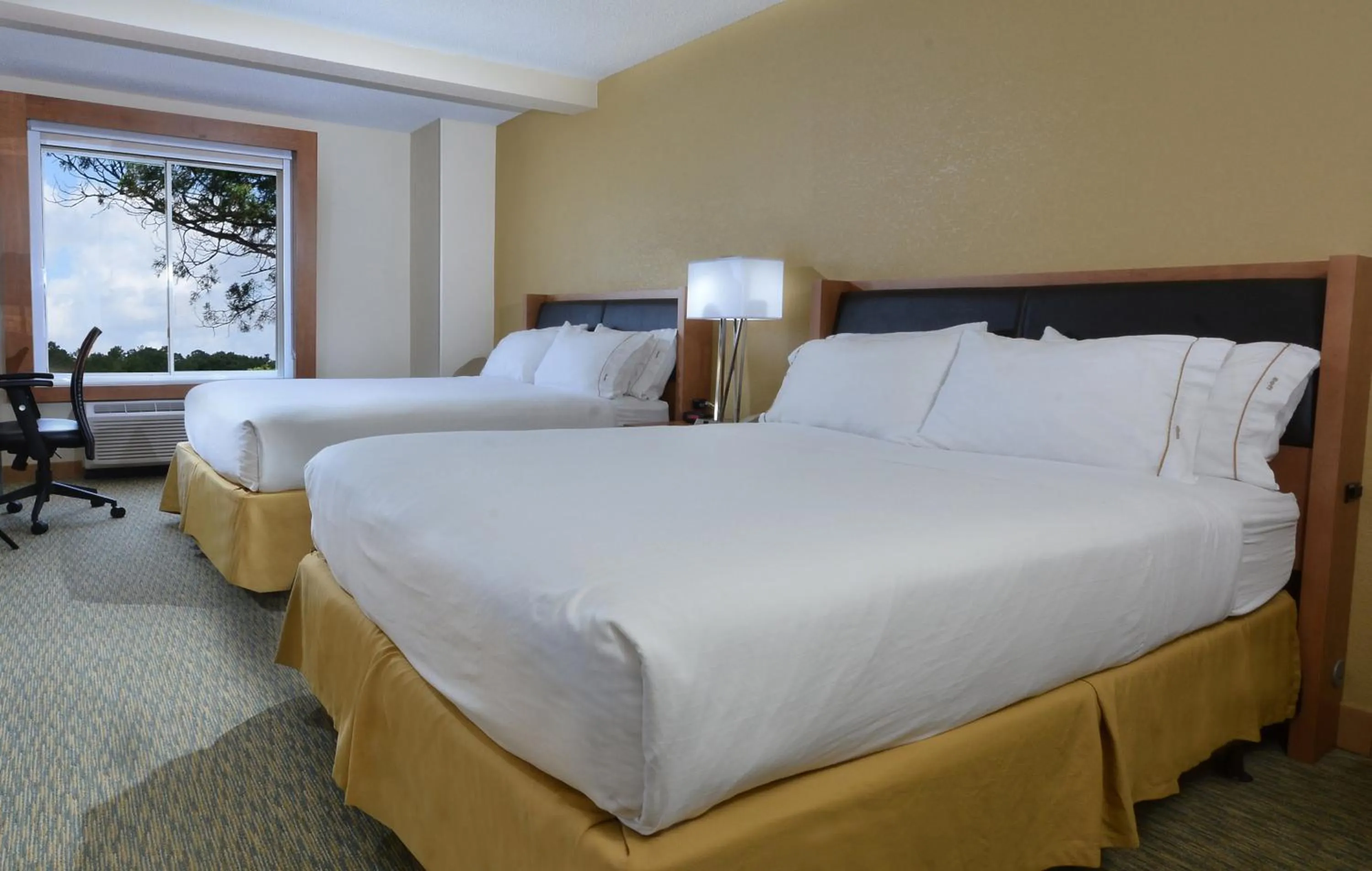 Photo of the whole room, Bed in Holiday Inn Express Hotel & Suites High Point South by IHG