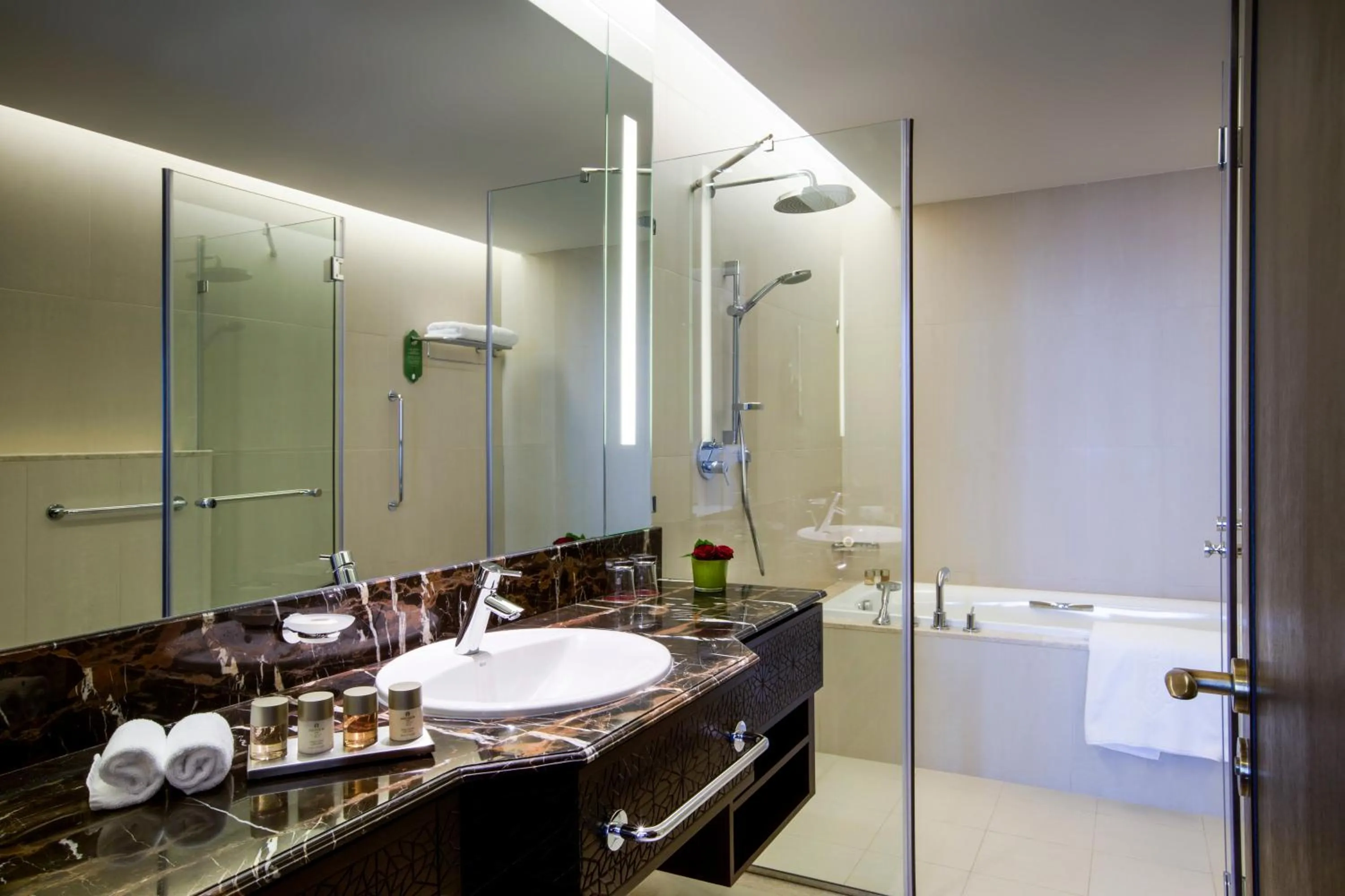 Shower in Bab Al Qasr Residence