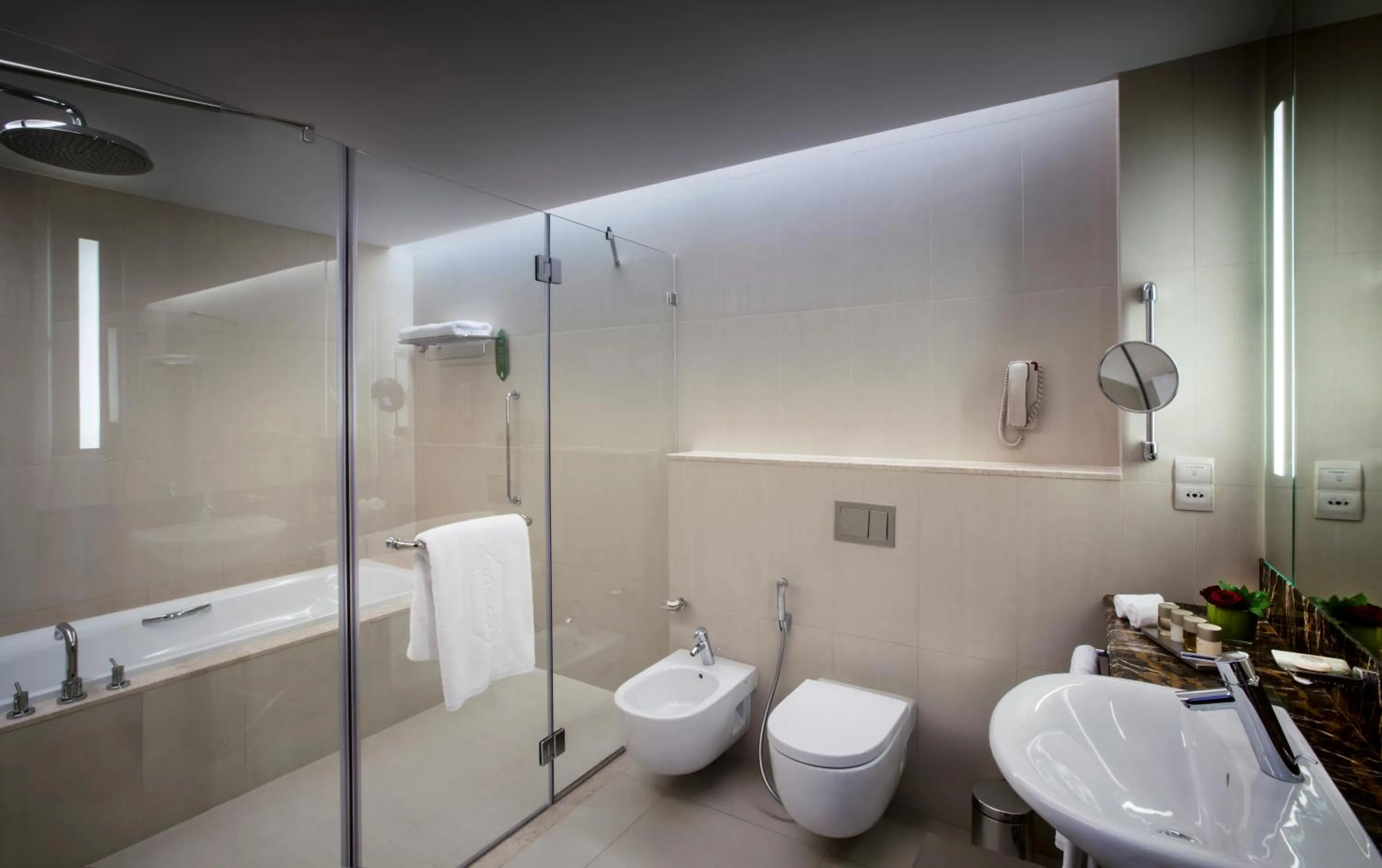 Shower in Bab Al Qasr Residence