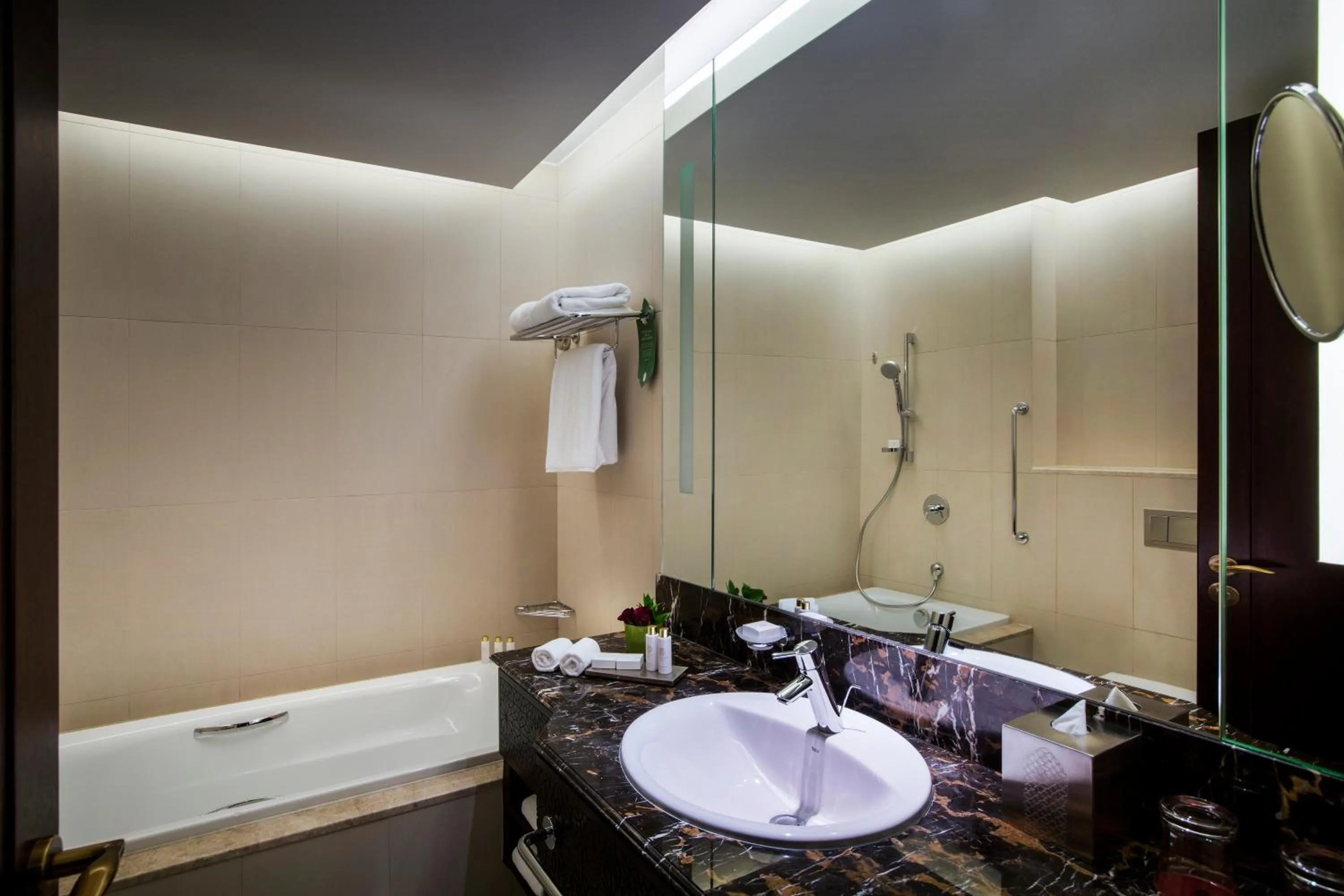 Shower in Bab Al Qasr Residence