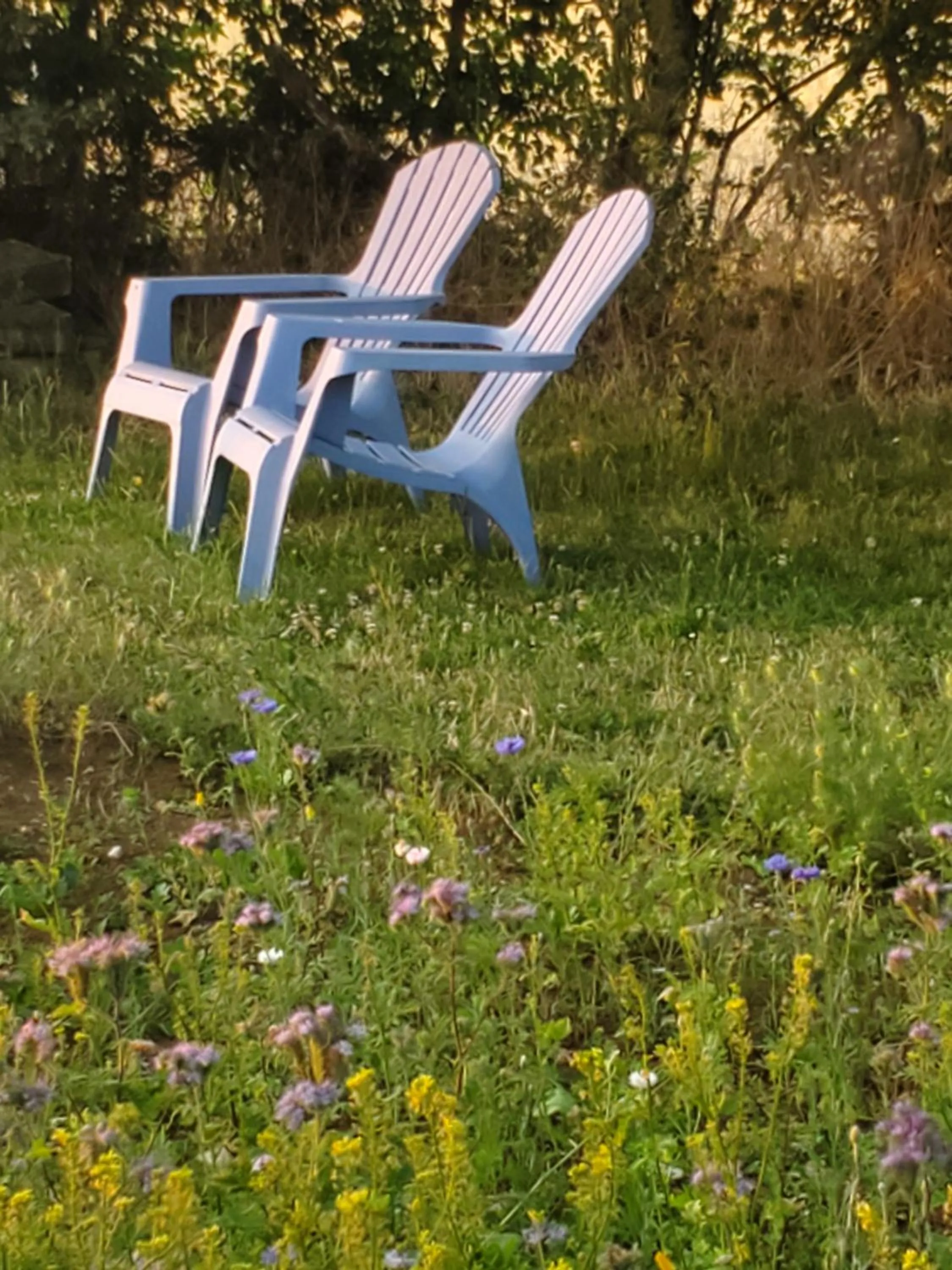 la grange aux hirondelles