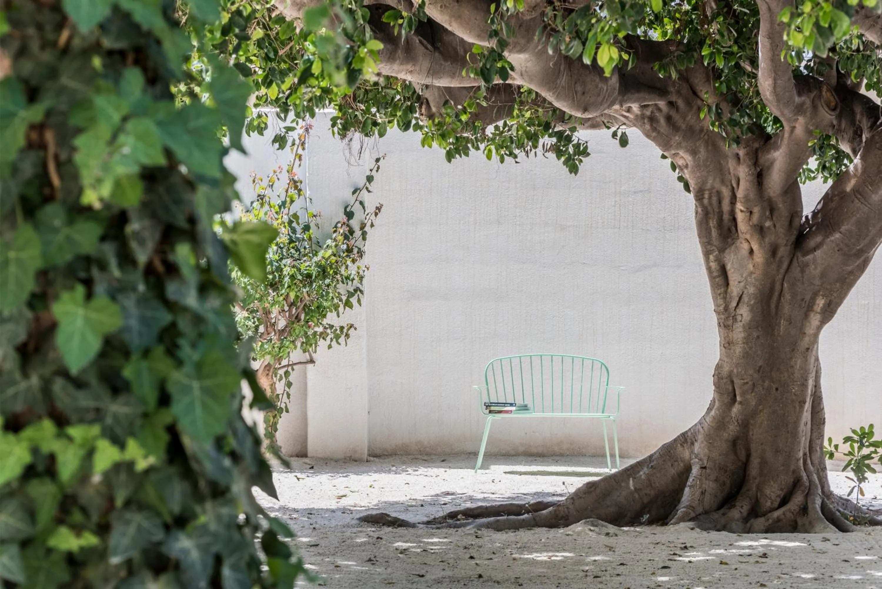 Garden in Giardini Mon Plaisir