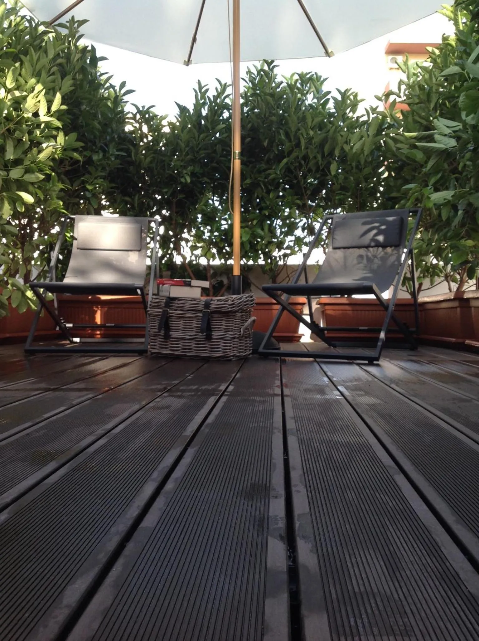 Balcony/Terrace in Giardini Mon Plaisir