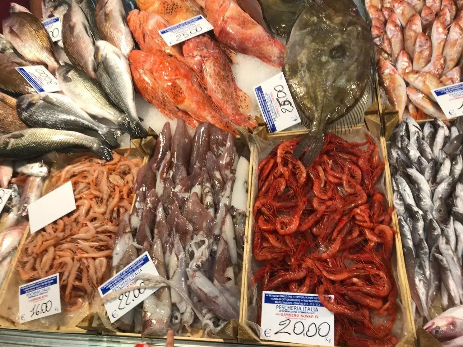 View (from property/room) in Giardini Mon Plaisir View (from property/room) in Giardini Mon Plaisir