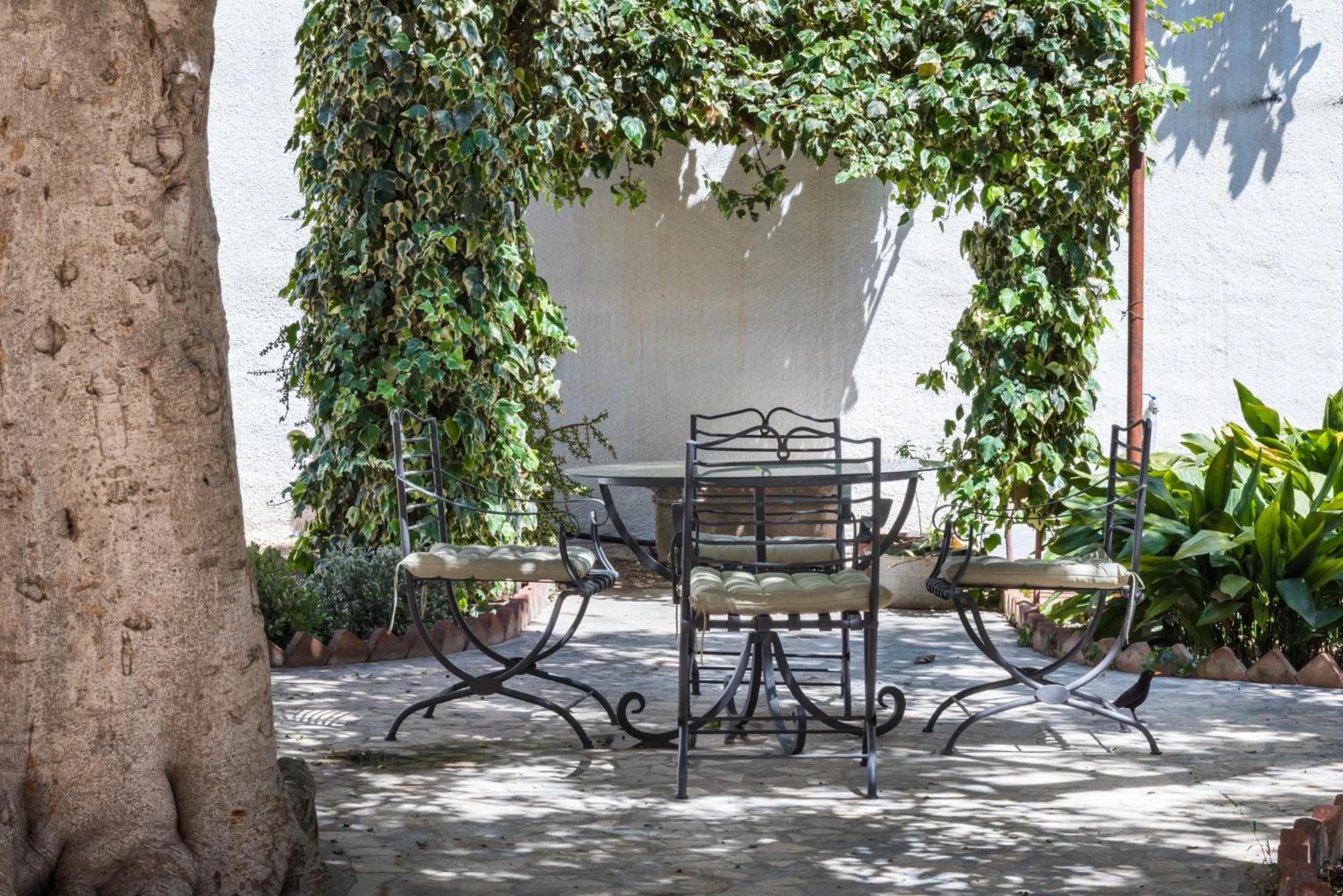 Garden in Giardini Mon Plaisir